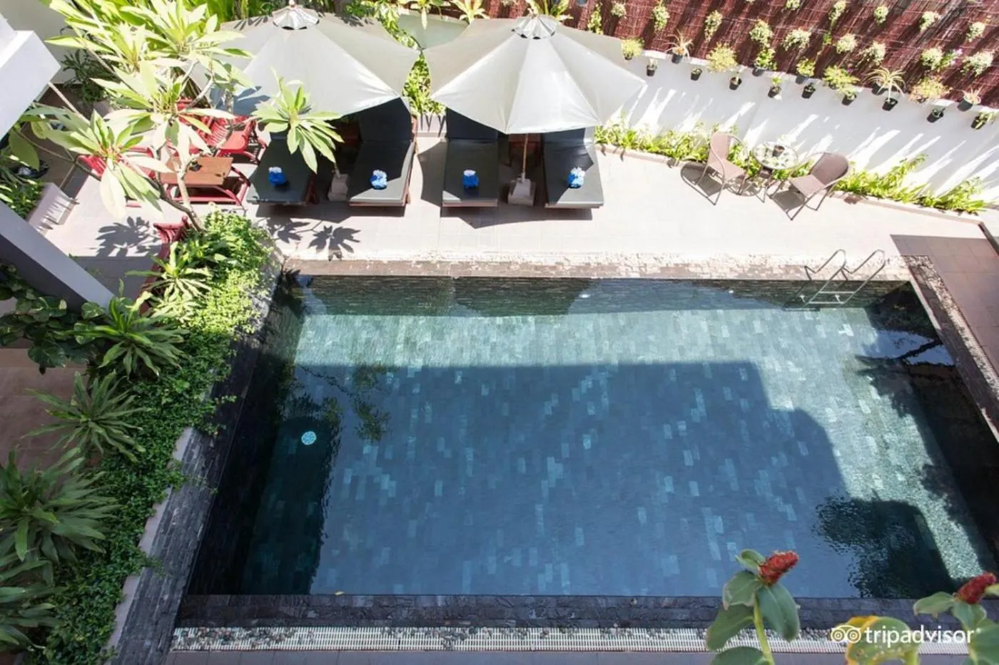 Pool view in Siem Reap Tevi Residence
