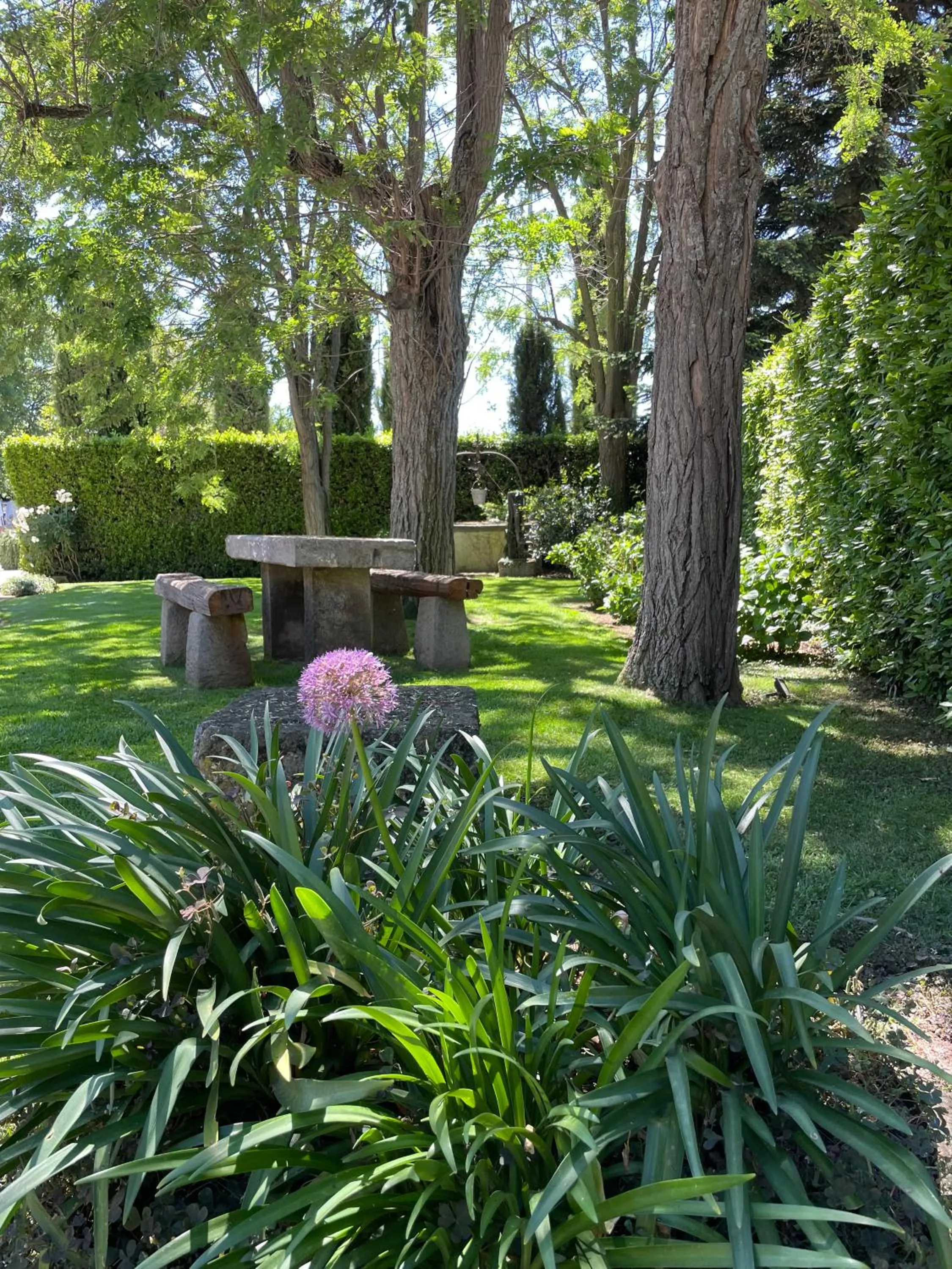 Podere Dell'Arco Country Charme