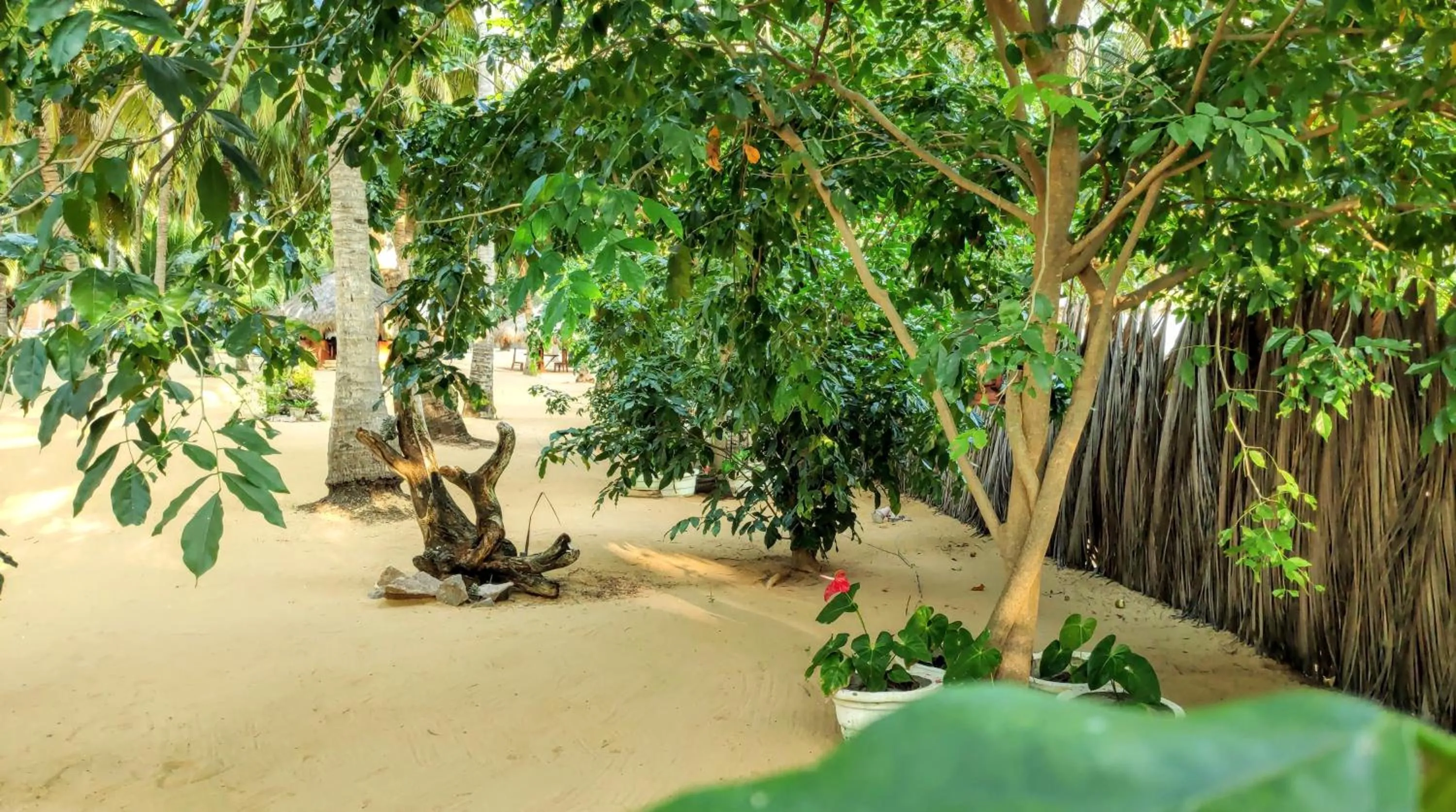 Facade/entrance in Roshanne Beach Resort, Kalpitiya