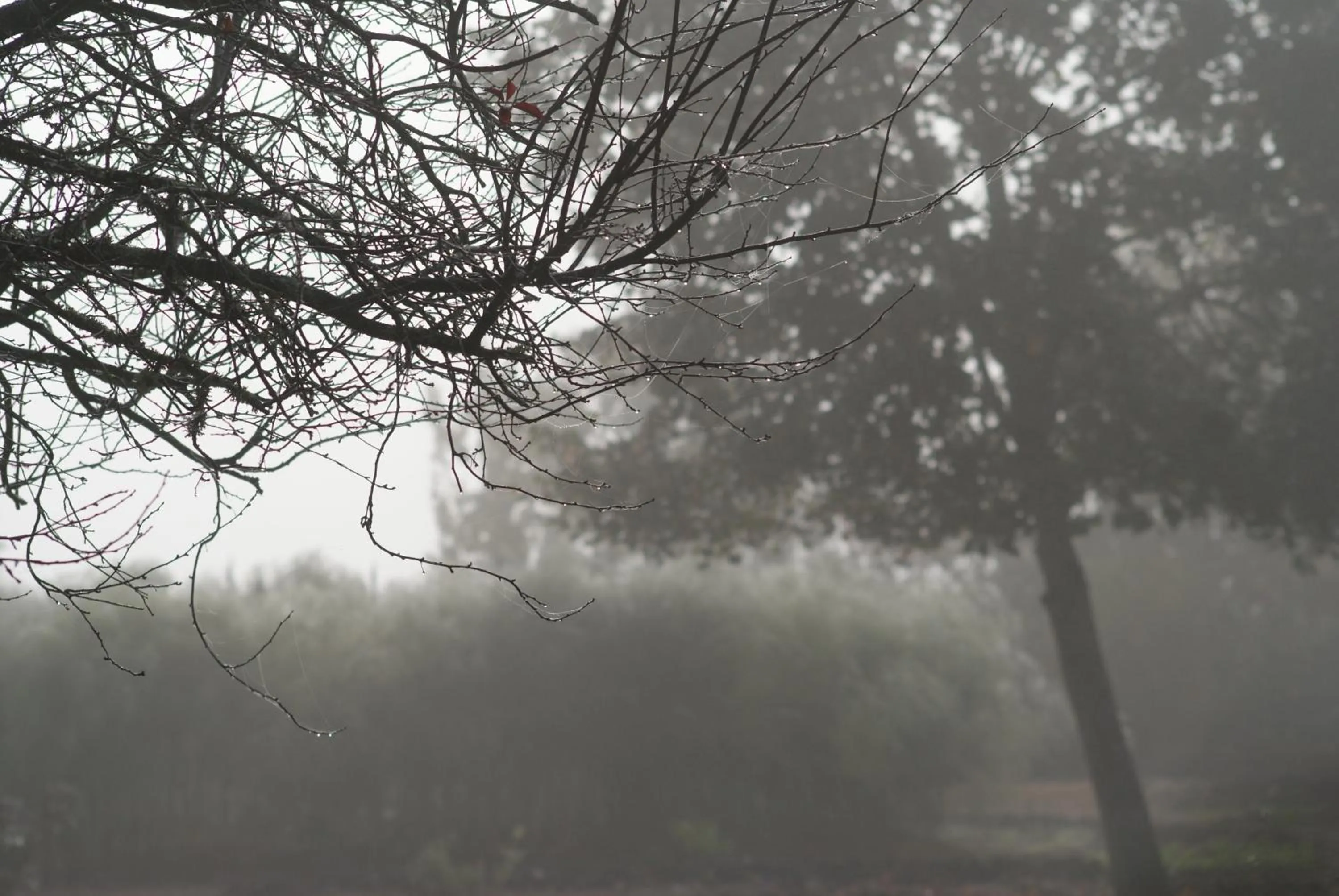 Natural landscape in Au Pichet