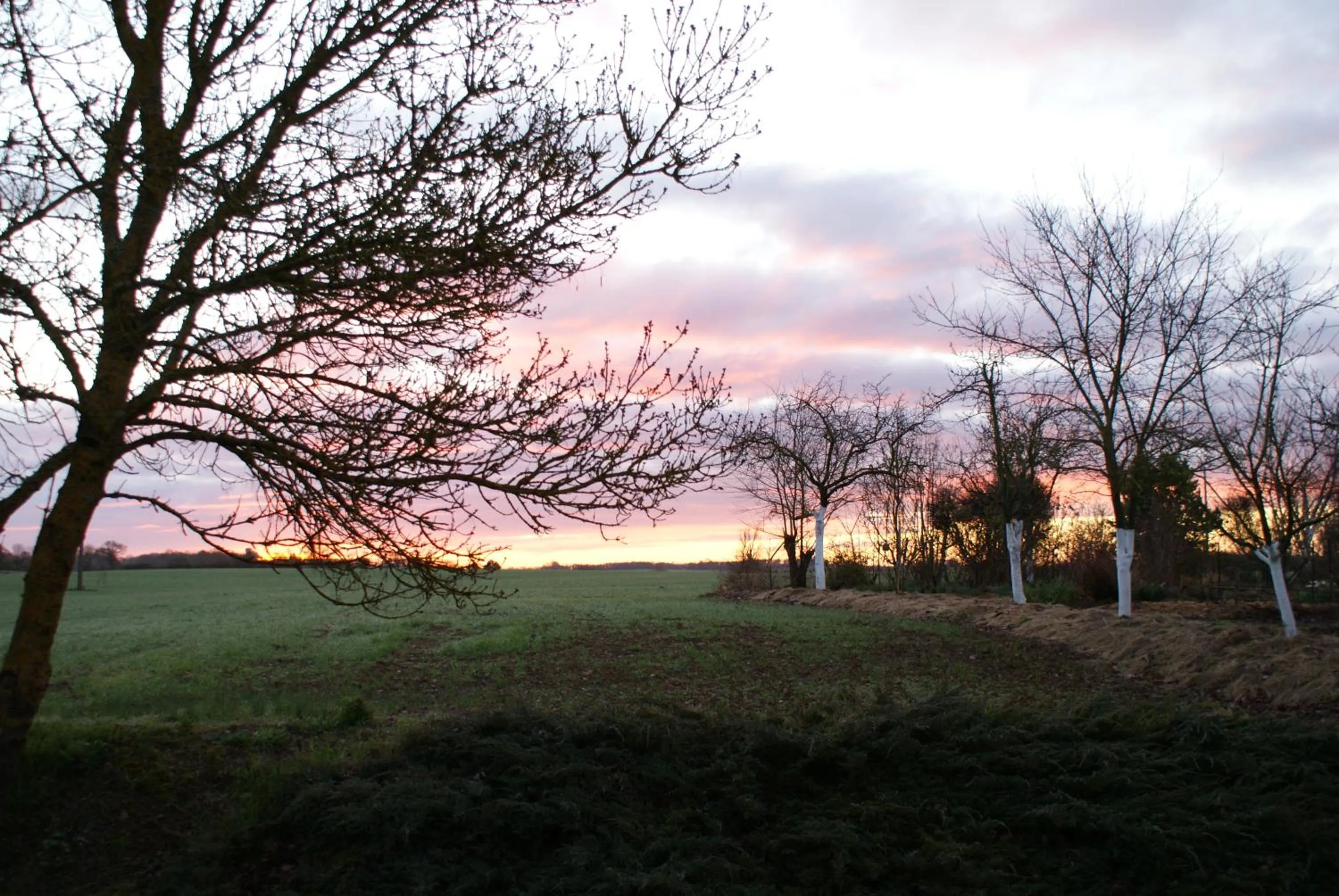 Garden view in Au Pichet