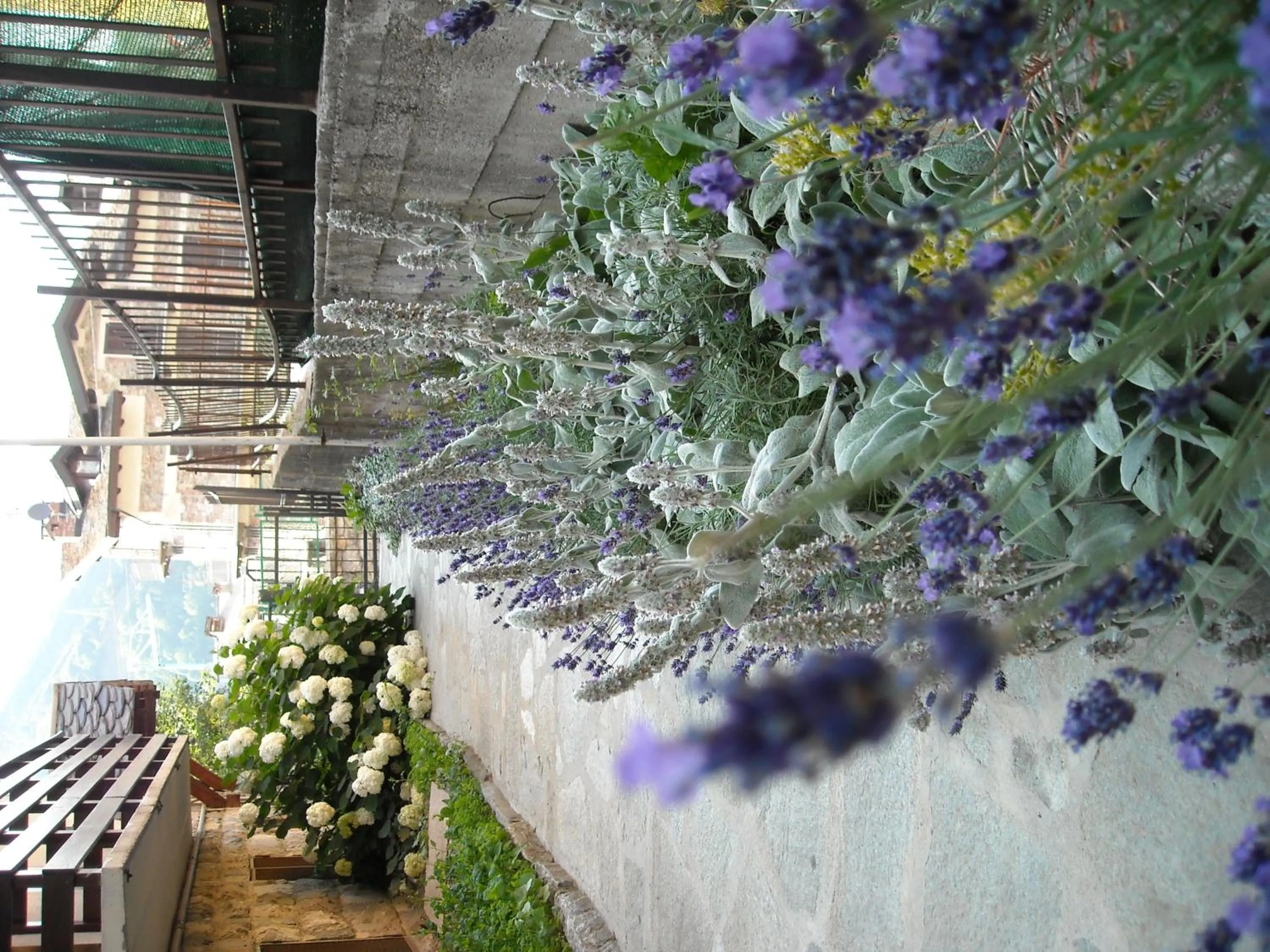 Hotel Tripoli La Margherita