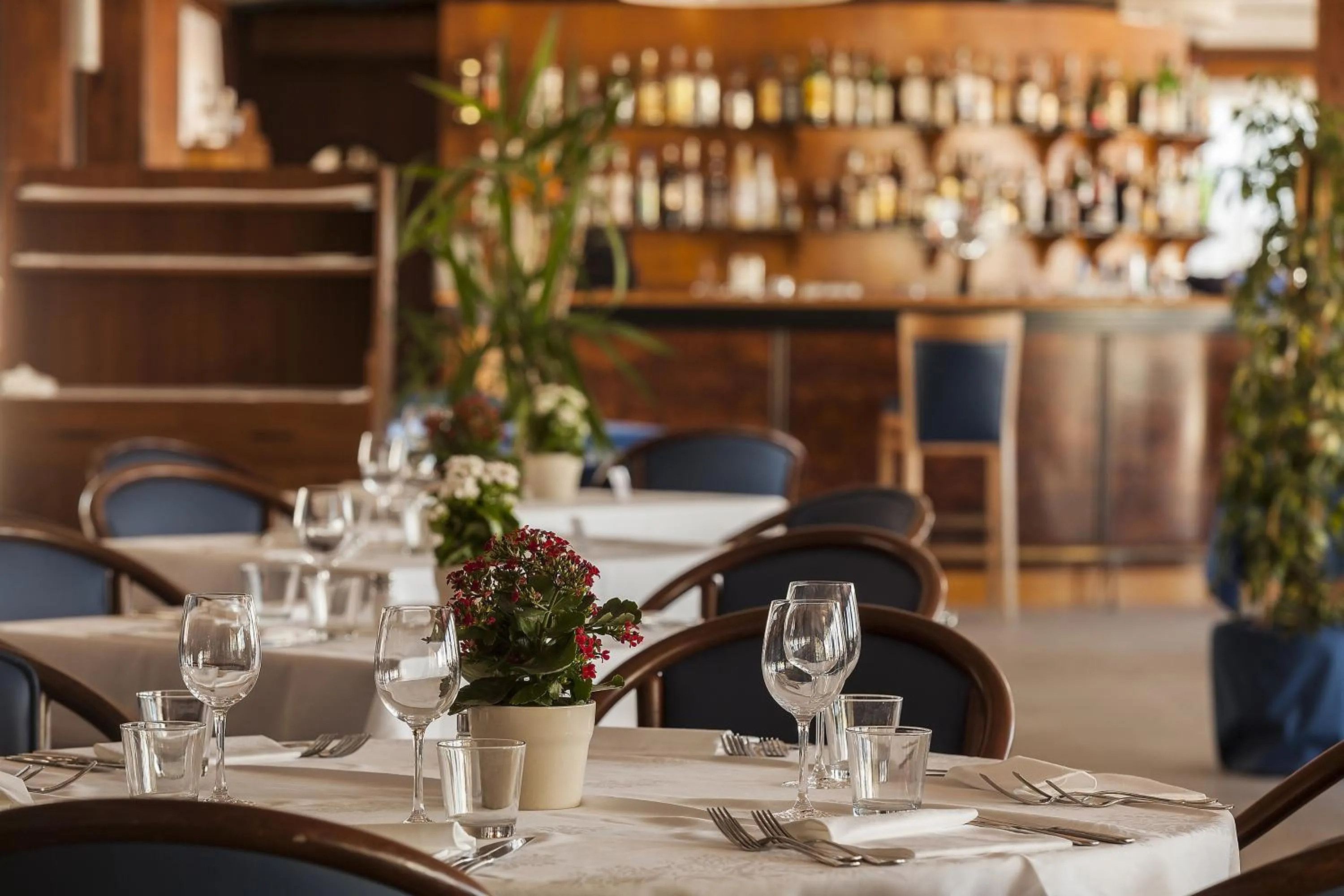 Restaurant/places to eat in Hotel Airone isola d'Elba