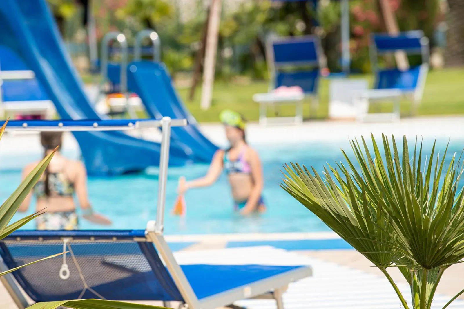 Swimming pool in Hotel Airone isola d'Elba
