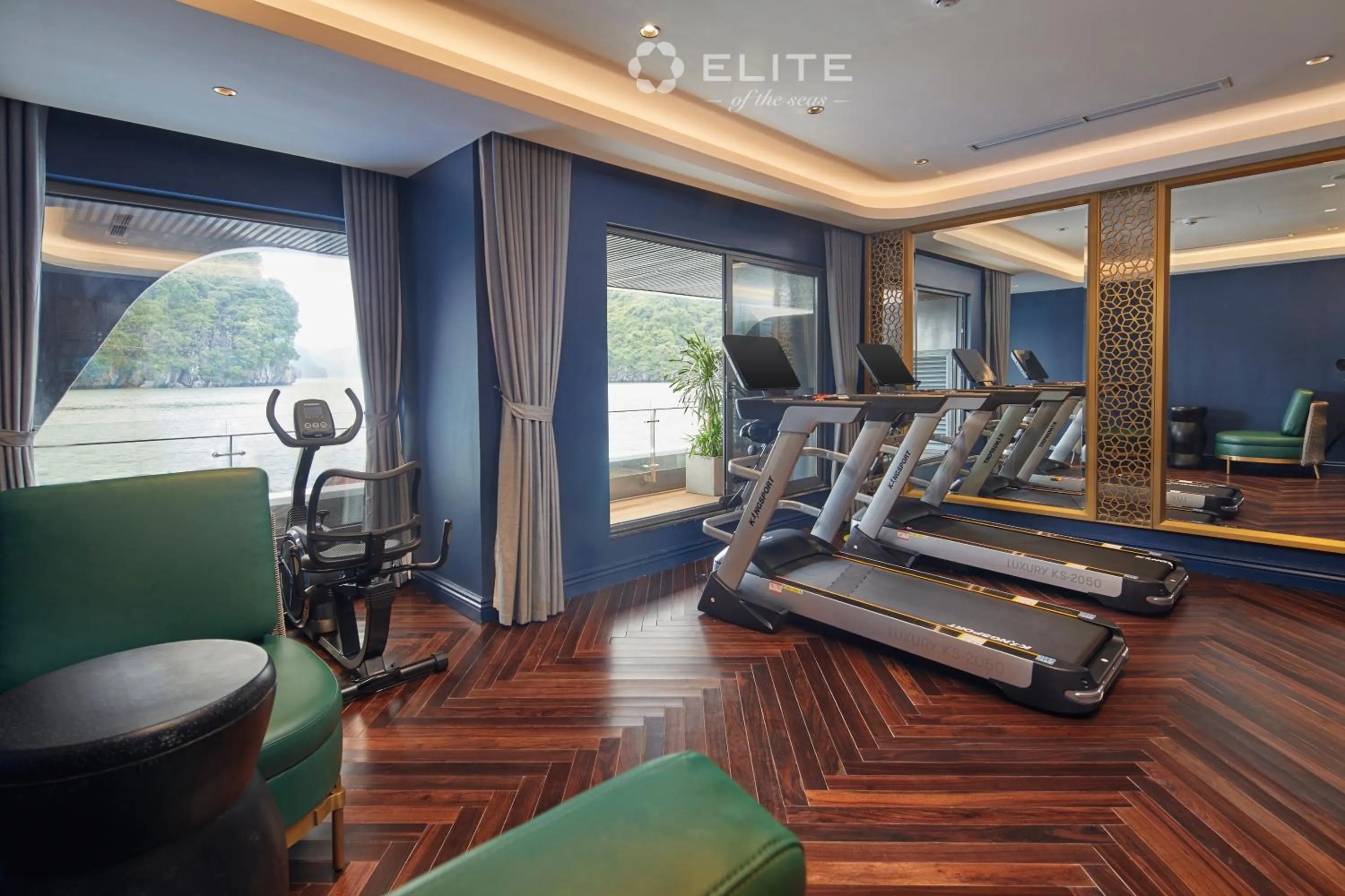 Fitness centre/facilities in Elite of the Seas