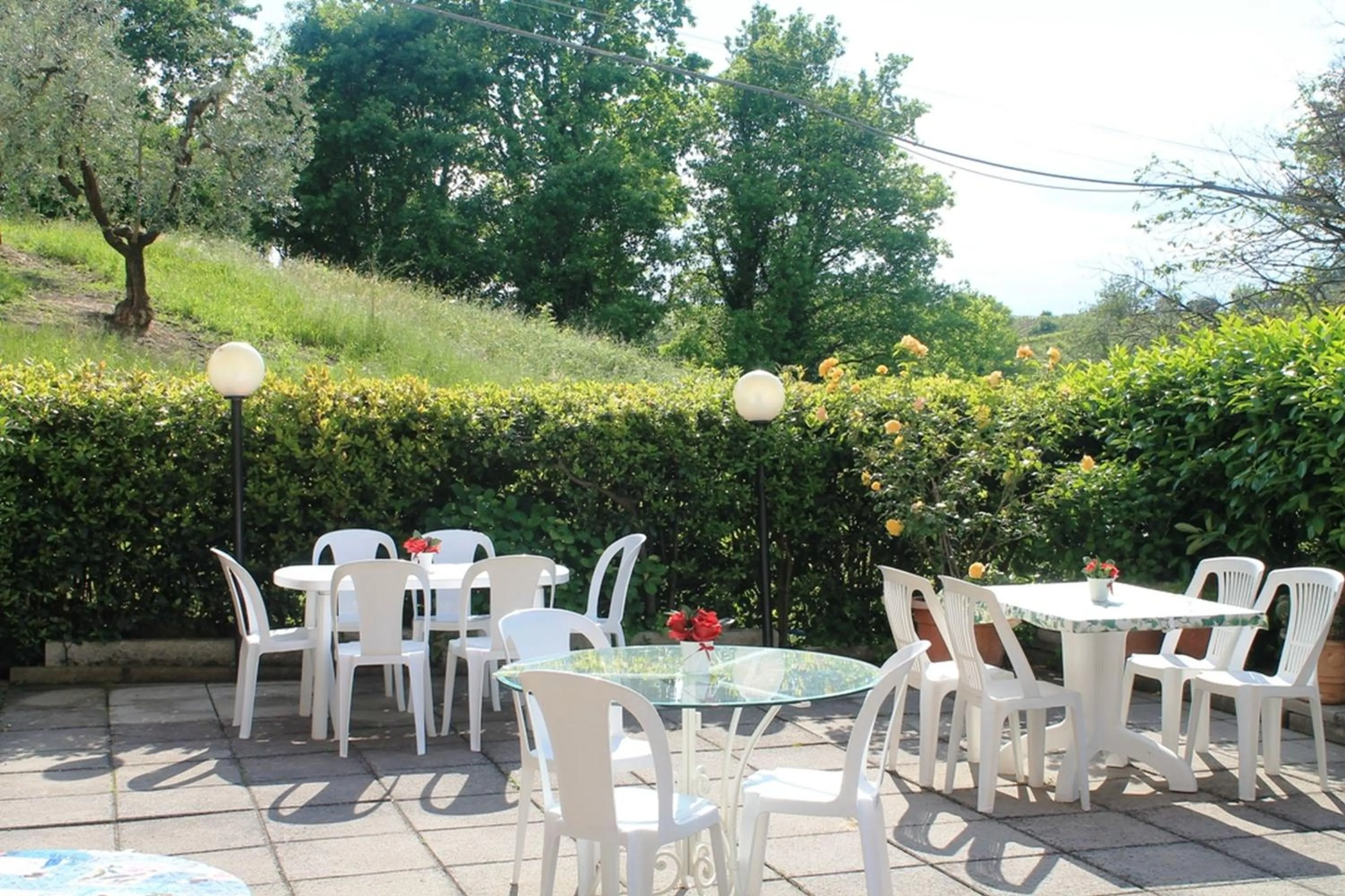 Garden in Hotel Monna Lisa