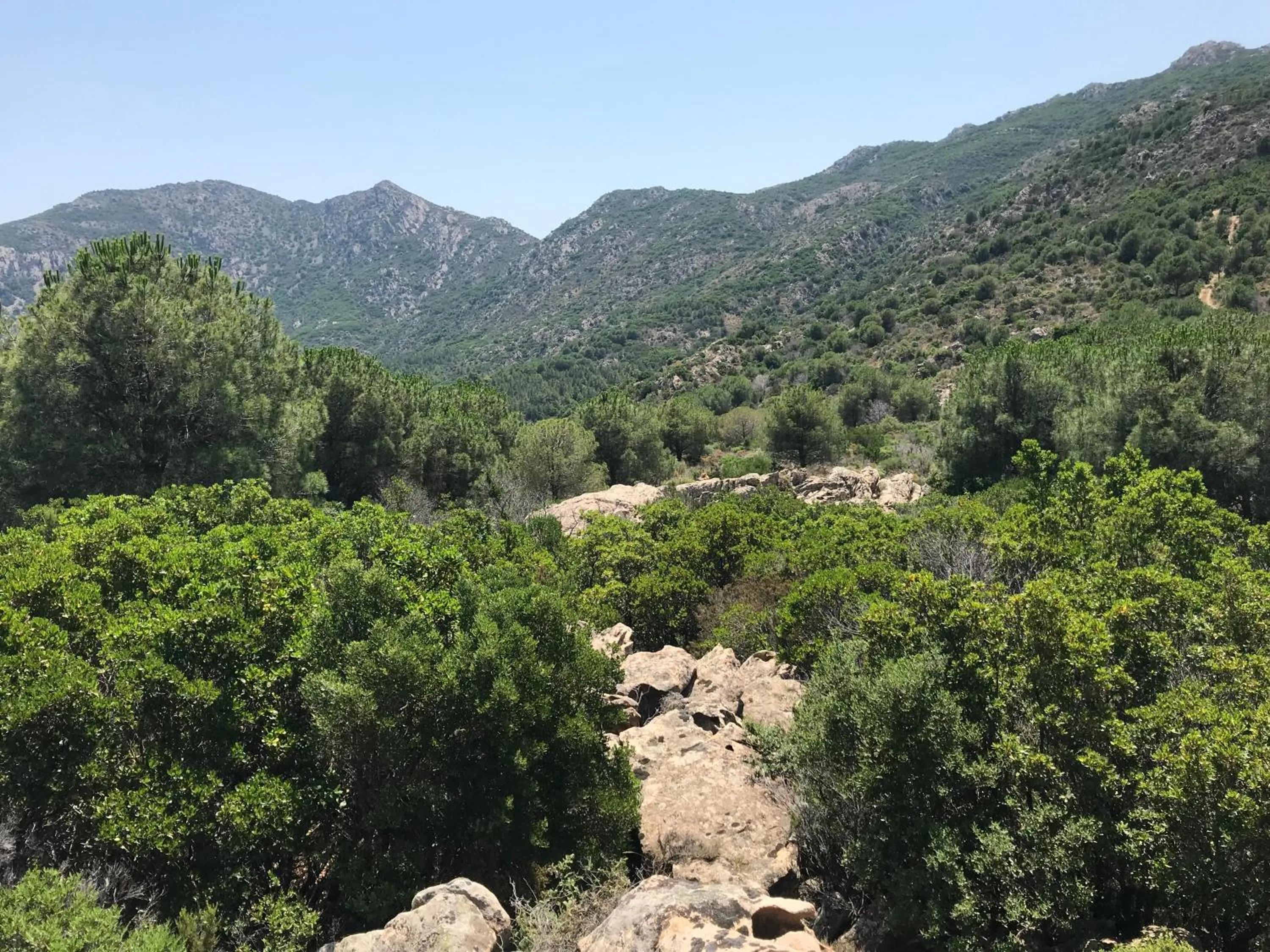 Nearby landmark in Il Viandante