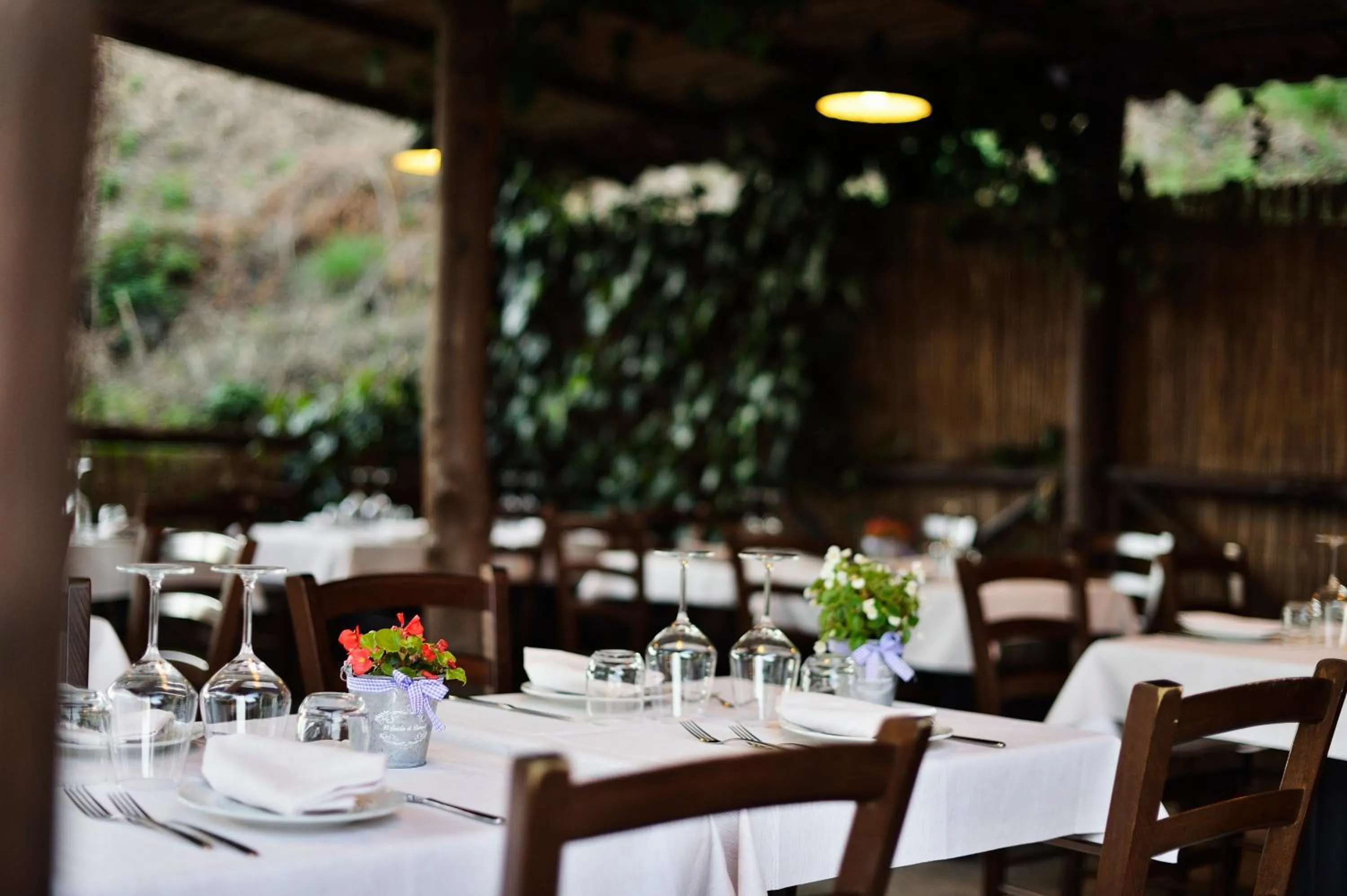 Restaurant/places to eat in Antica Locanda Luigina