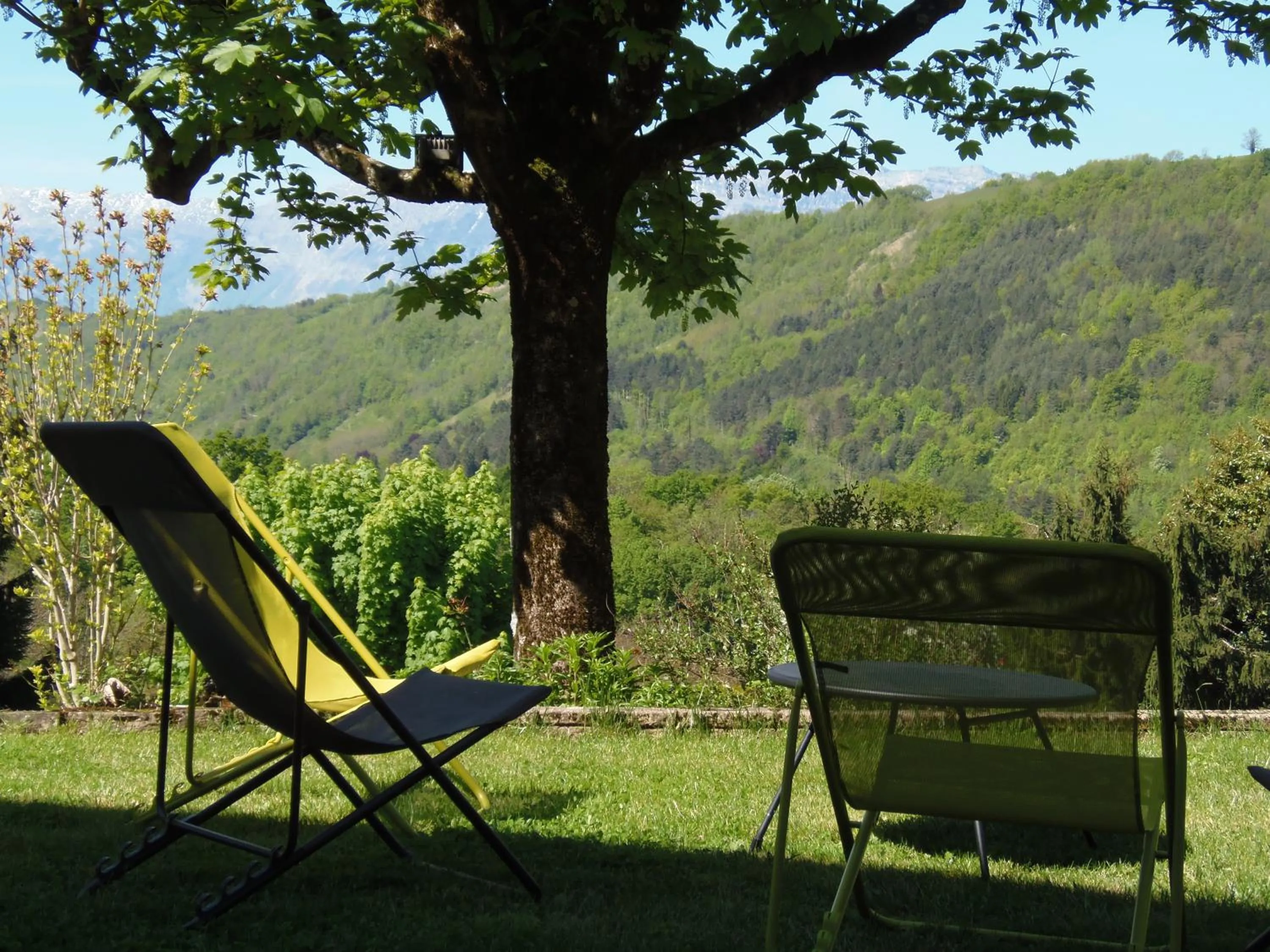 Garden in Hotel Les Mésanges