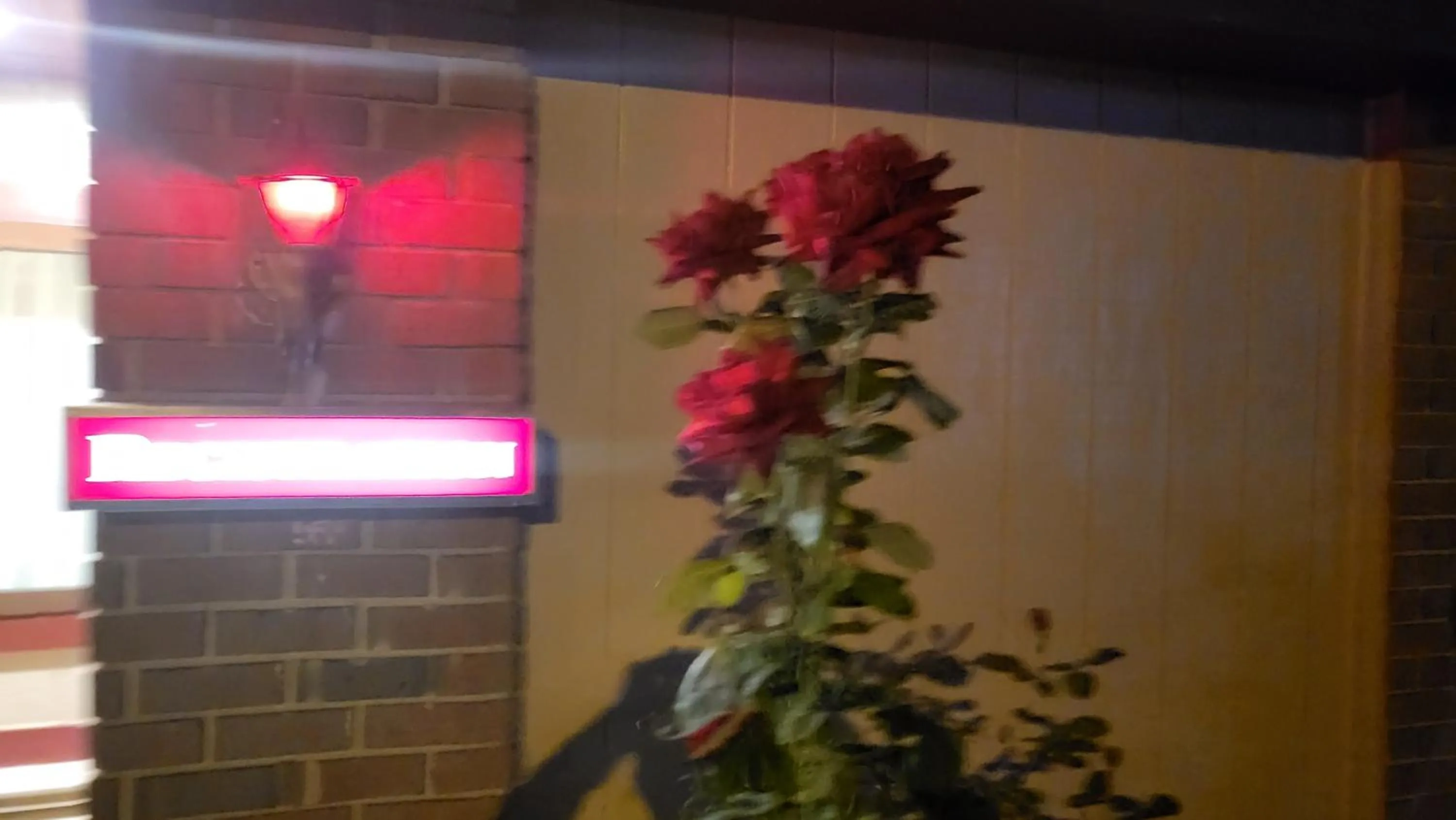 Night in Inn of the Dove - Romantic Luxury Suites with Jacuzzi & Seasonal Fireplace at Harrisburg-Hershey-Philadelphia, PA