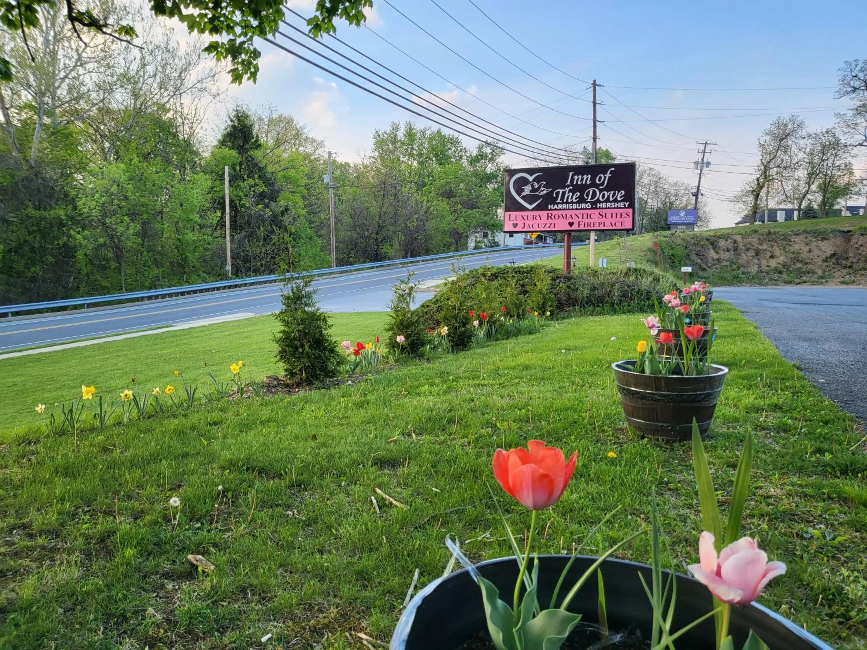 Garden view in Inn of the Dove - Romantic Luxury Suites with Jacuzzi & Seasonal Fireplace at Harrisburg-Hershey-Philadelphia, PA