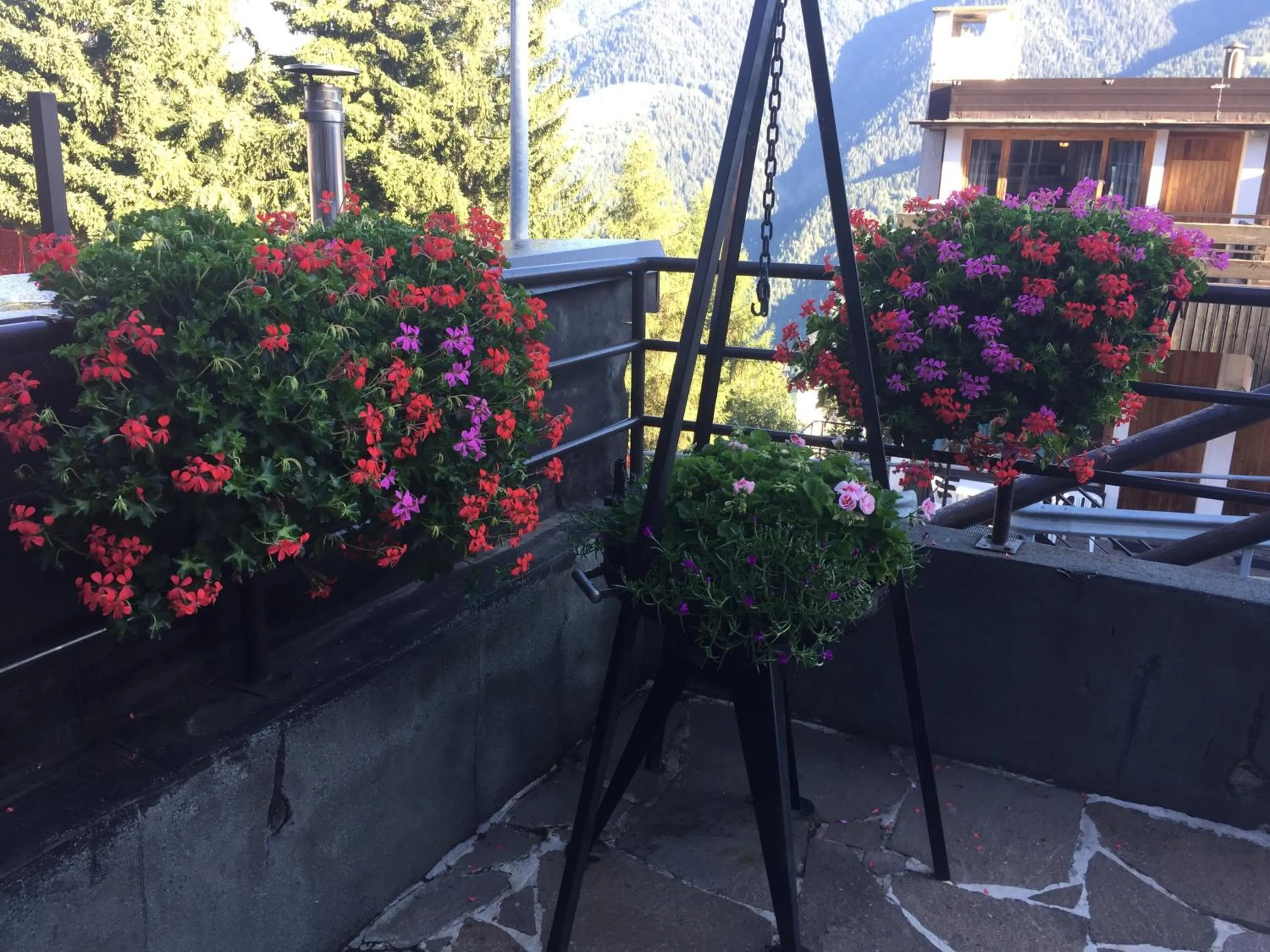 Residence Lores 2 - Go Vacanze