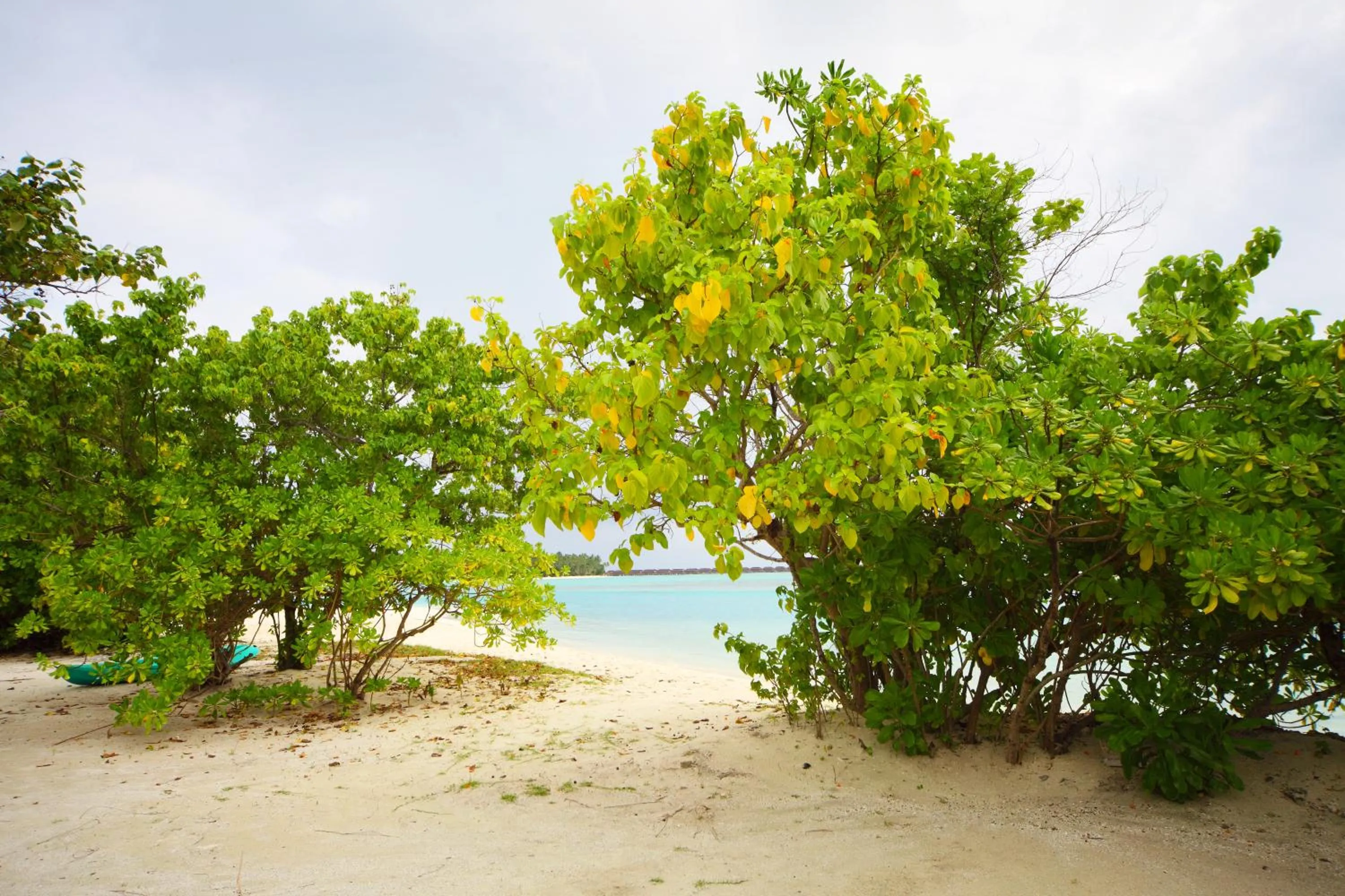 Area and facilities in Bibee Maldives