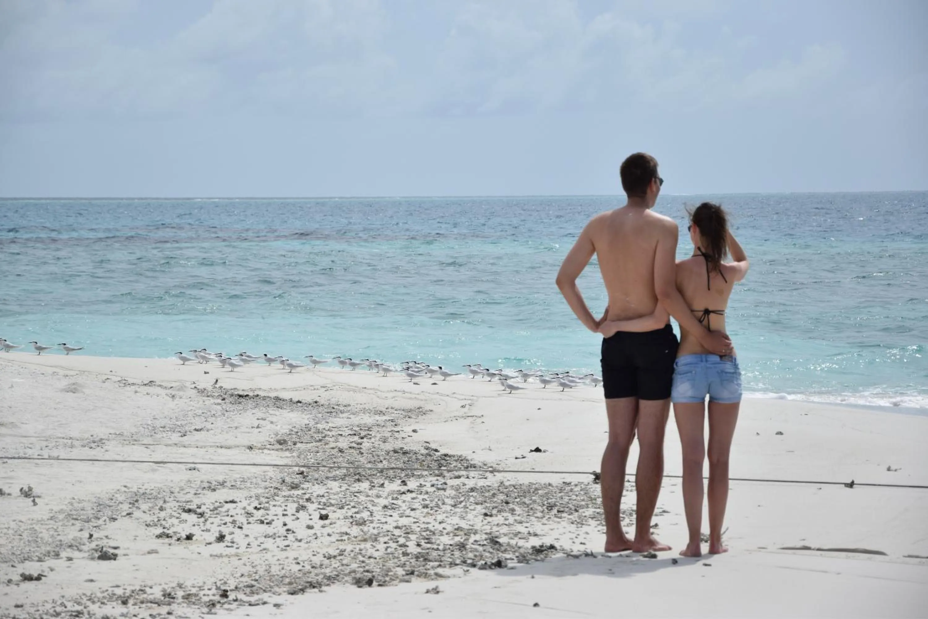 Beach in Bibee Maldives