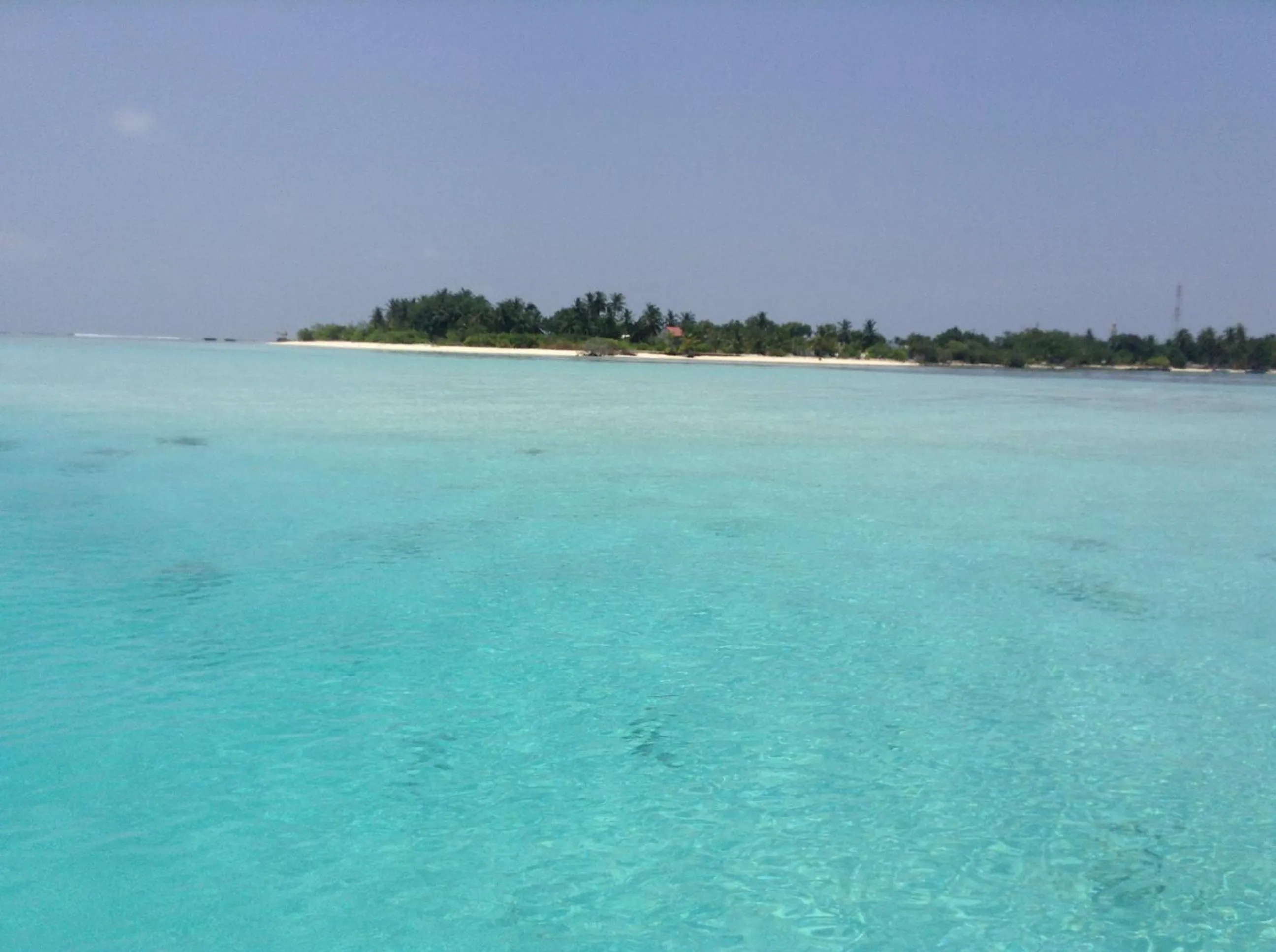 Beach in Bibee Maldives