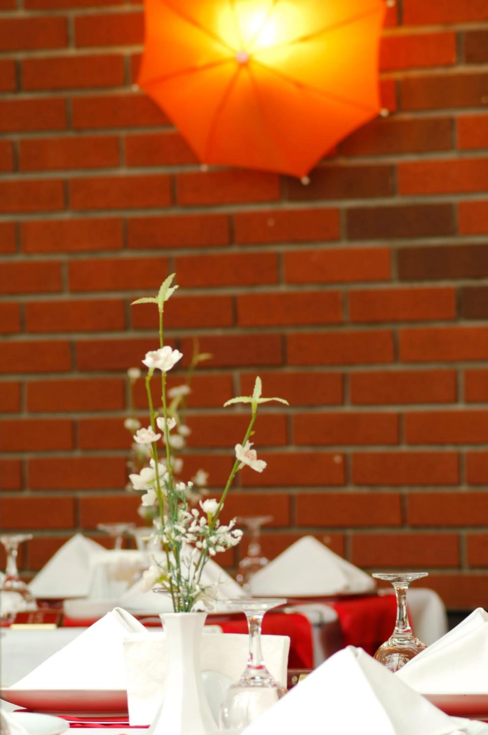 Food and drinks in Bilkay Hotel