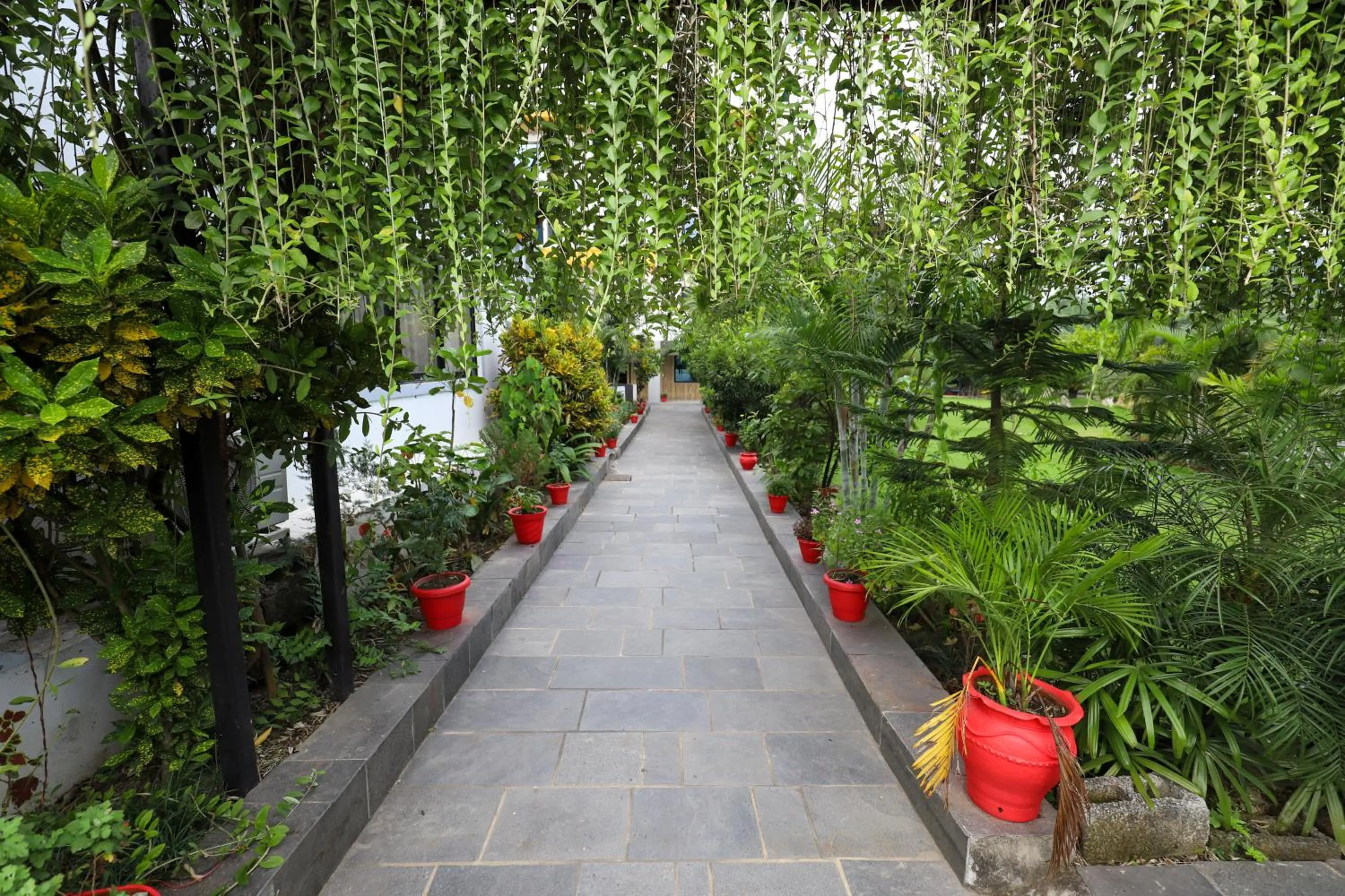 Garden in Siddhartha Riverside Resort, Chumlingtar