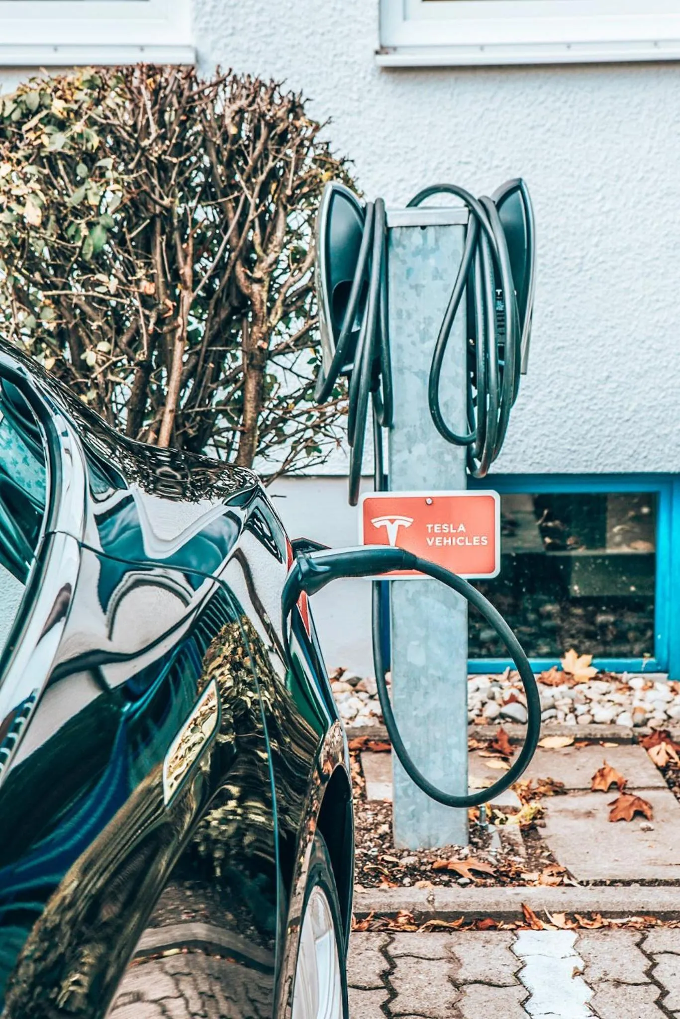 Other in Hotel Schwertfirm