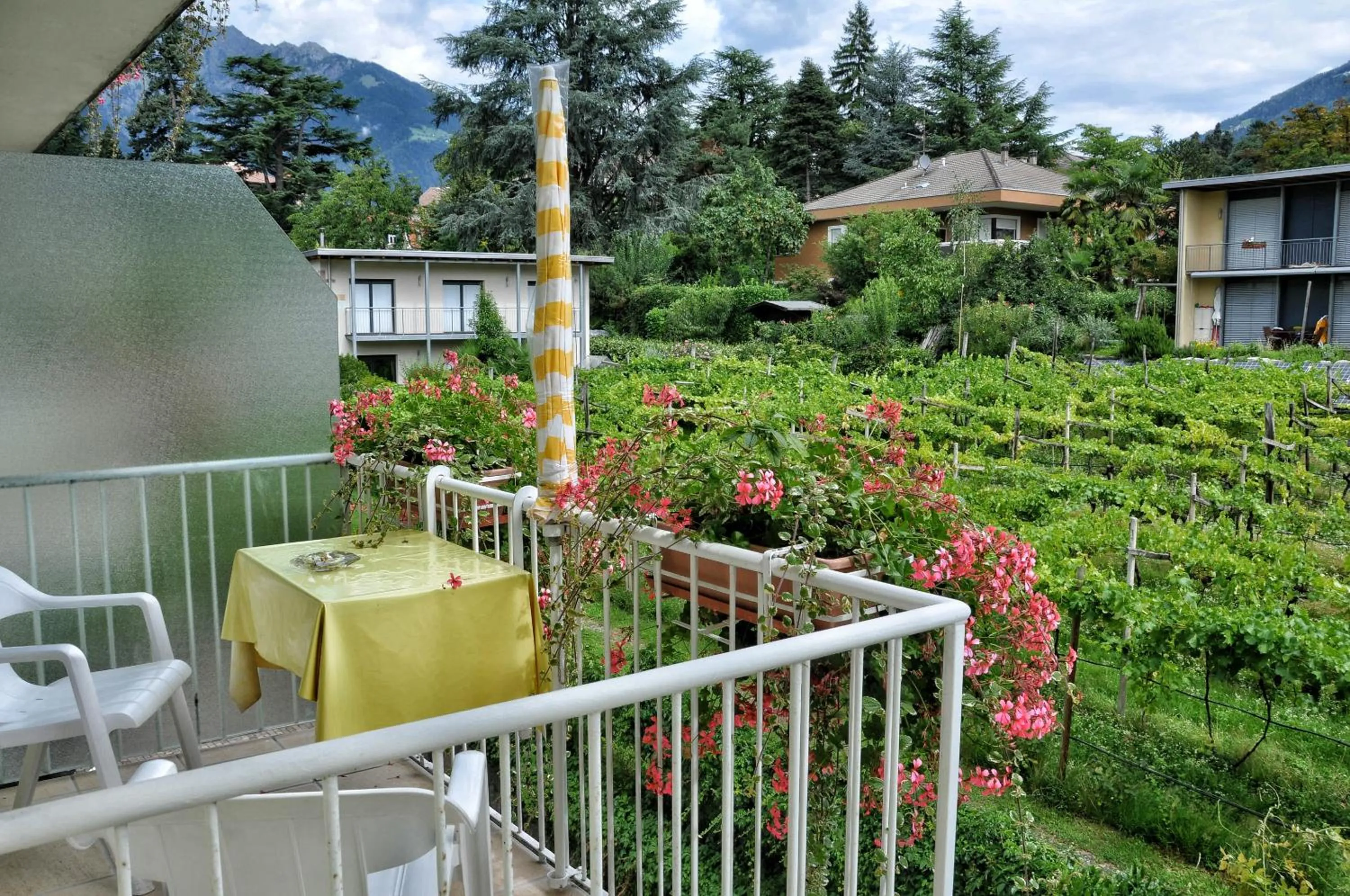 View (from property/room) in Hotel Zima