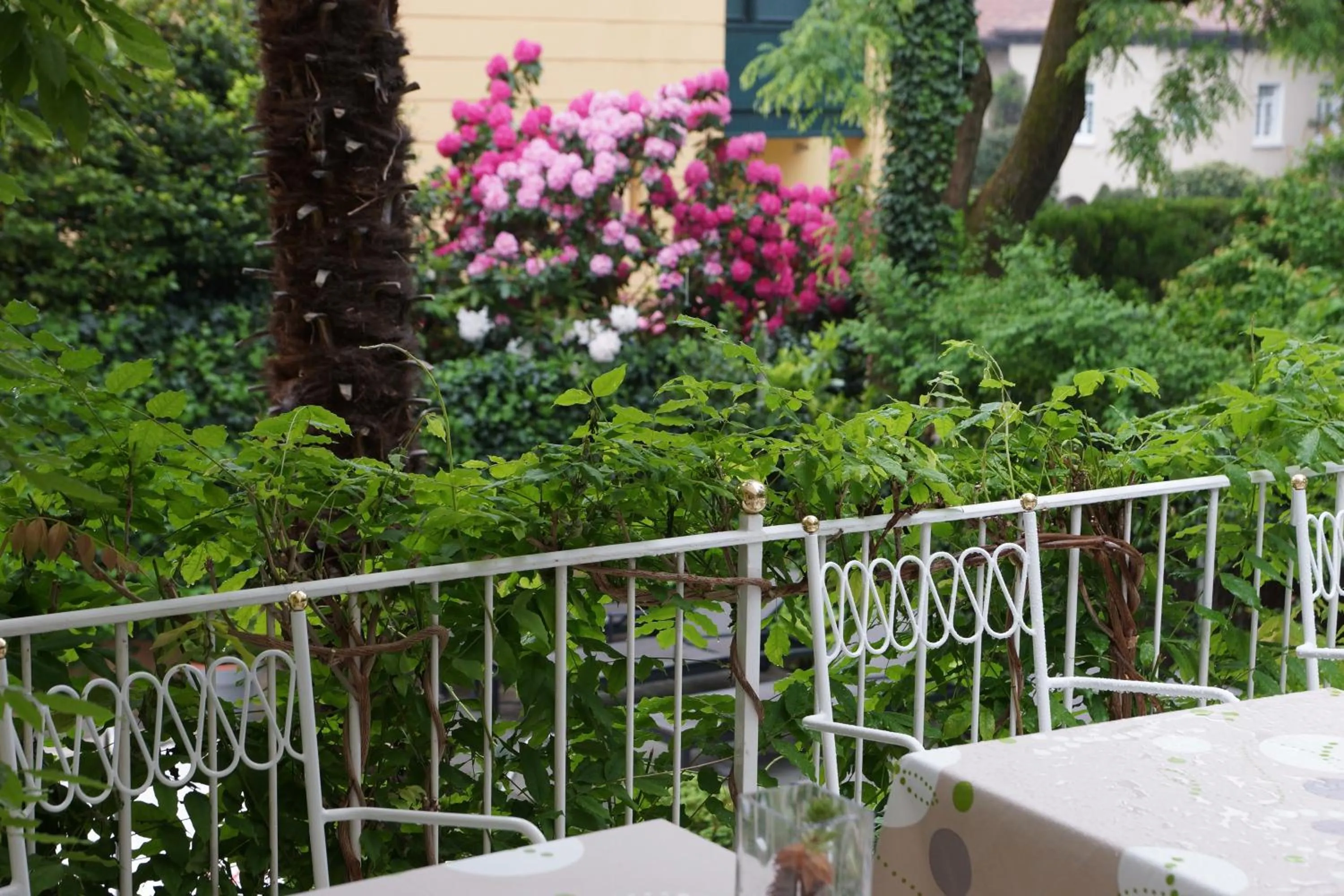 Balcony/Terrace in Hotel Zima