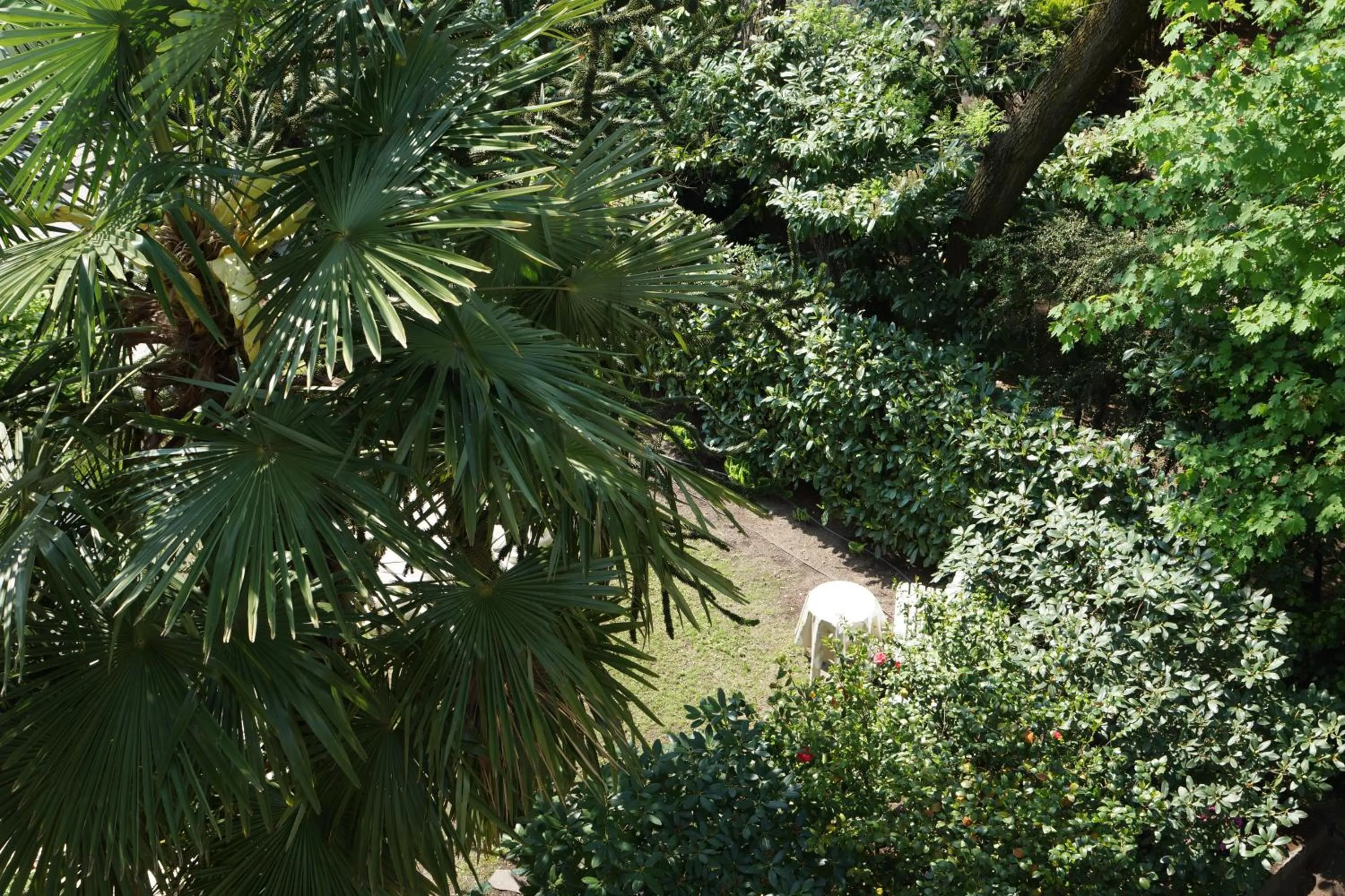 Garden in Hotel Zima