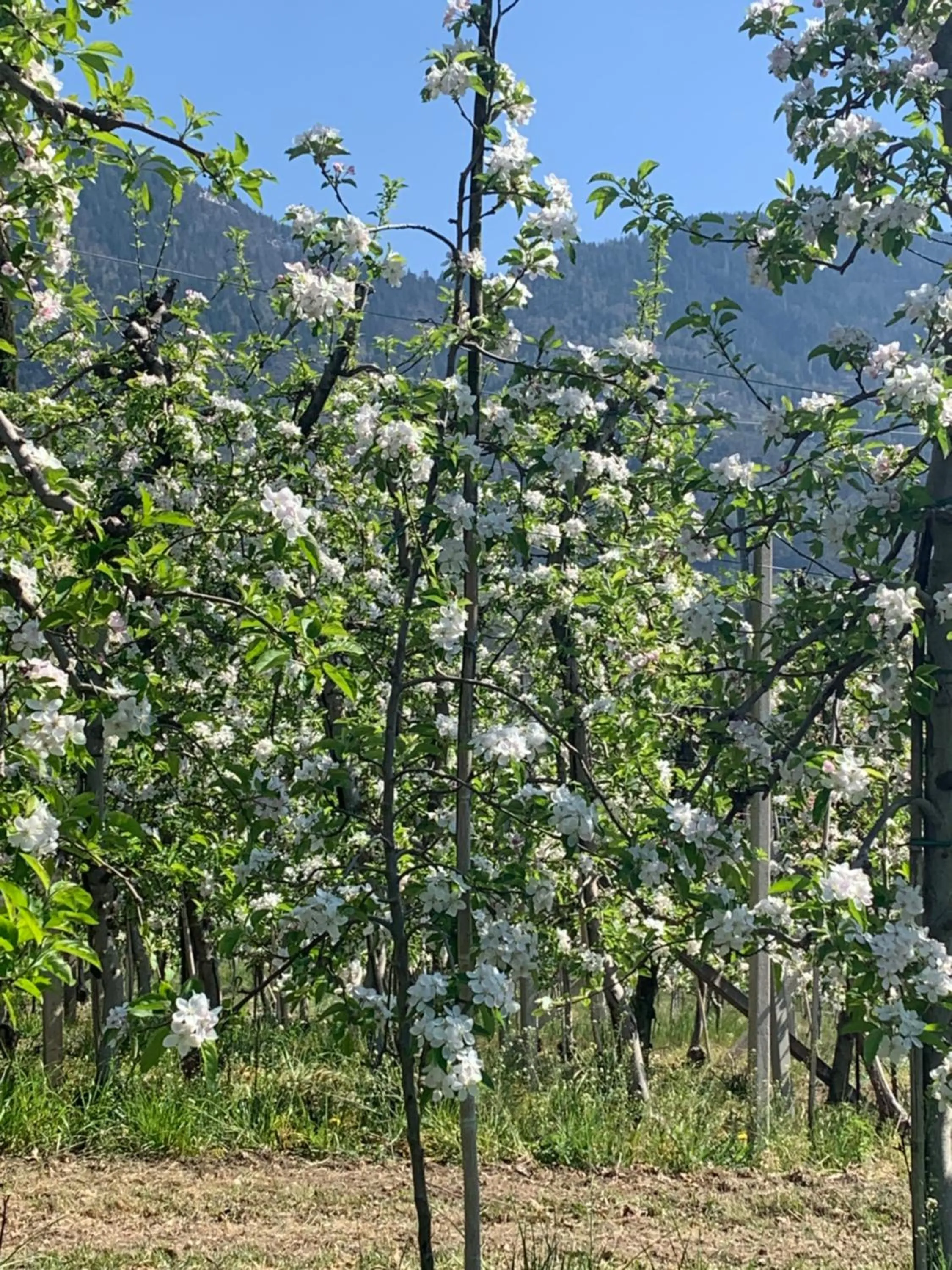Natural landscape in Hotel Zima