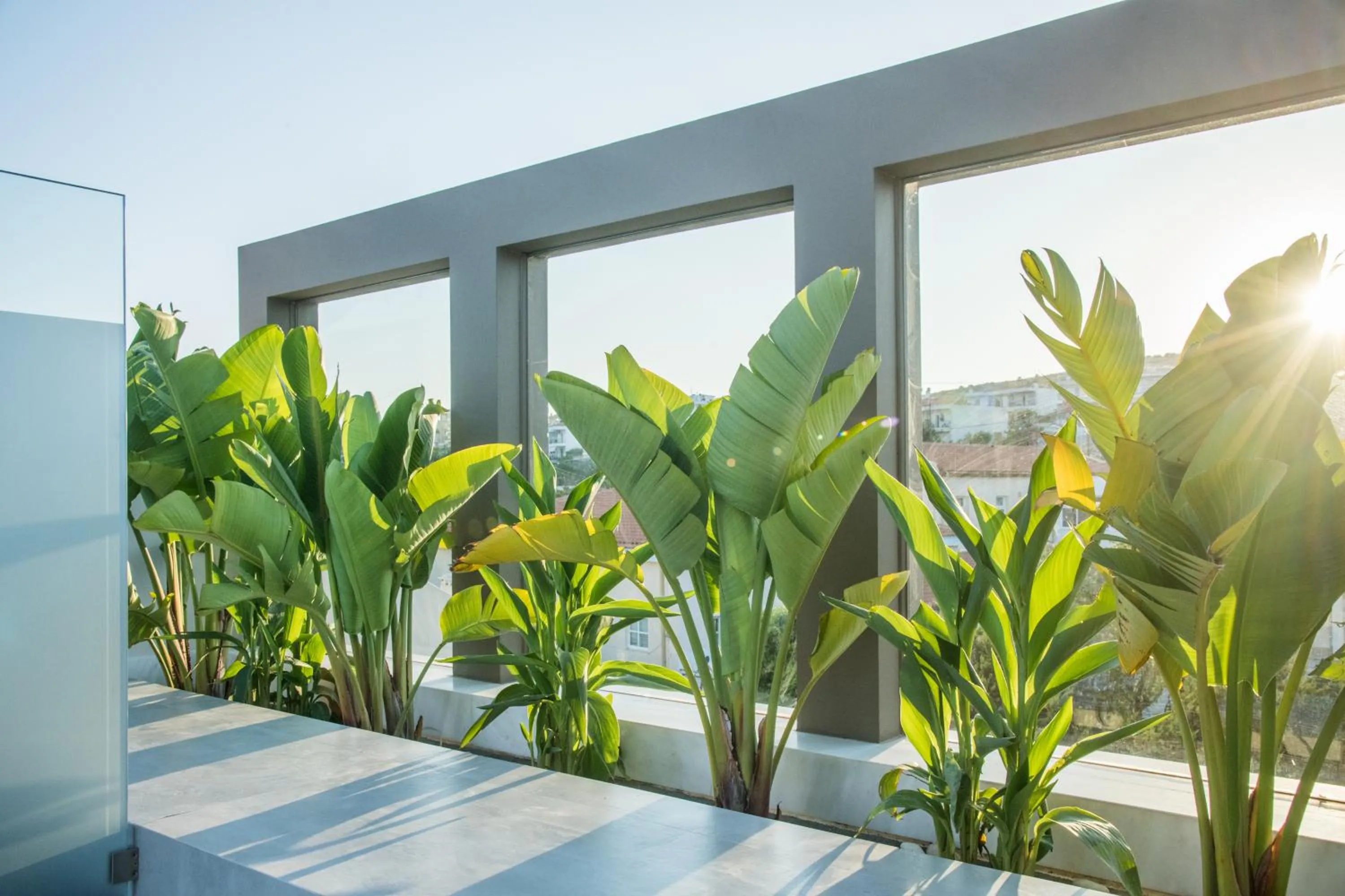 GM exclusive Luxury Suites & SPA