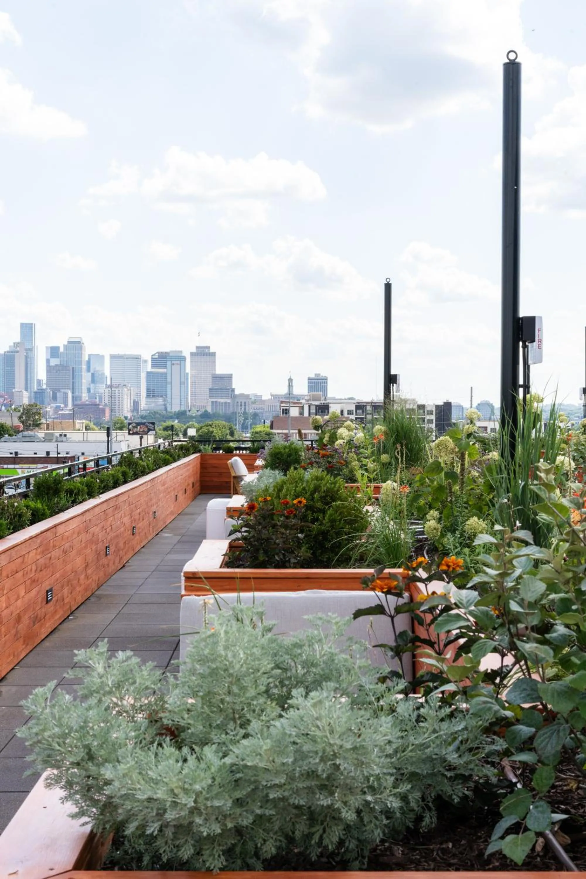 City view in Waymore's Guest House