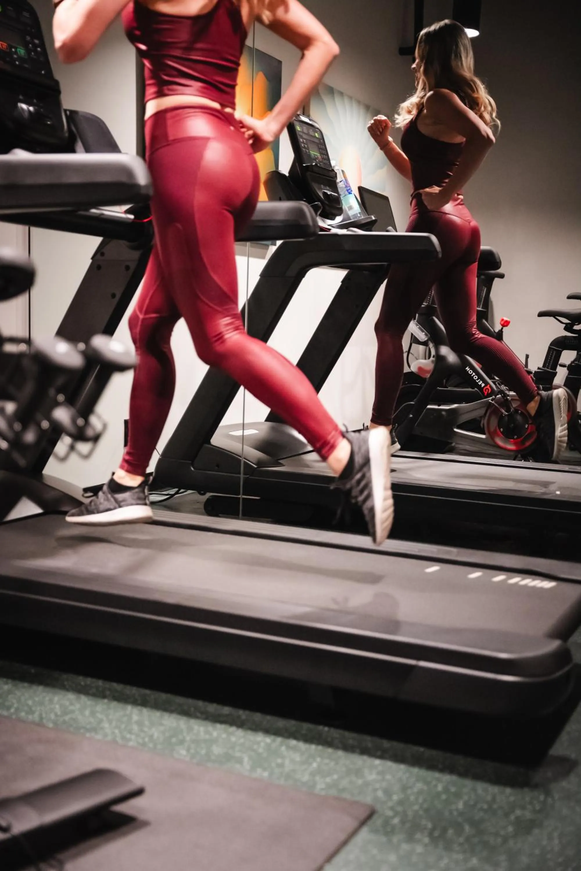 Fitness centre/facilities in Waymore's Guest House