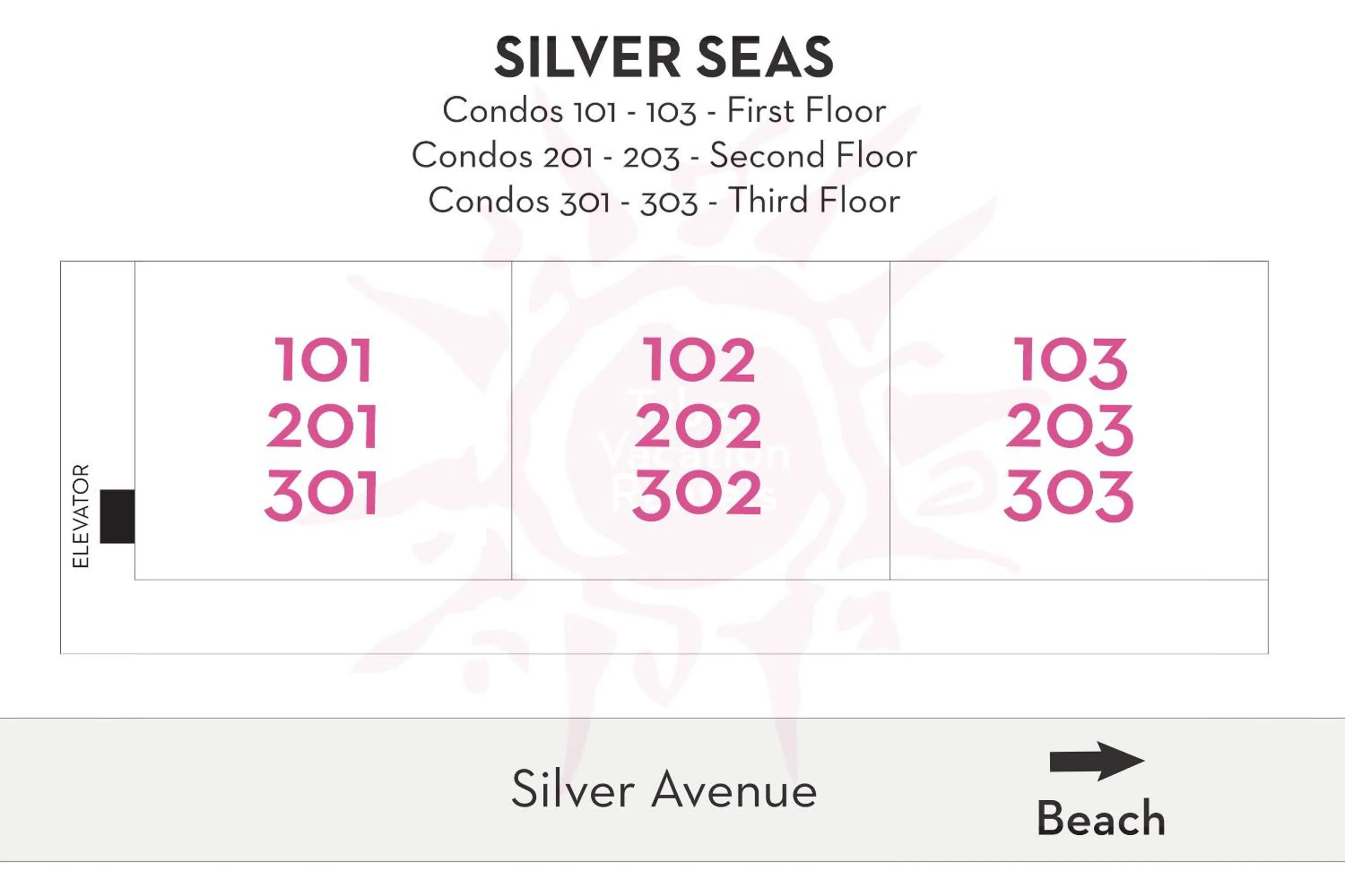 Silver Seas 301