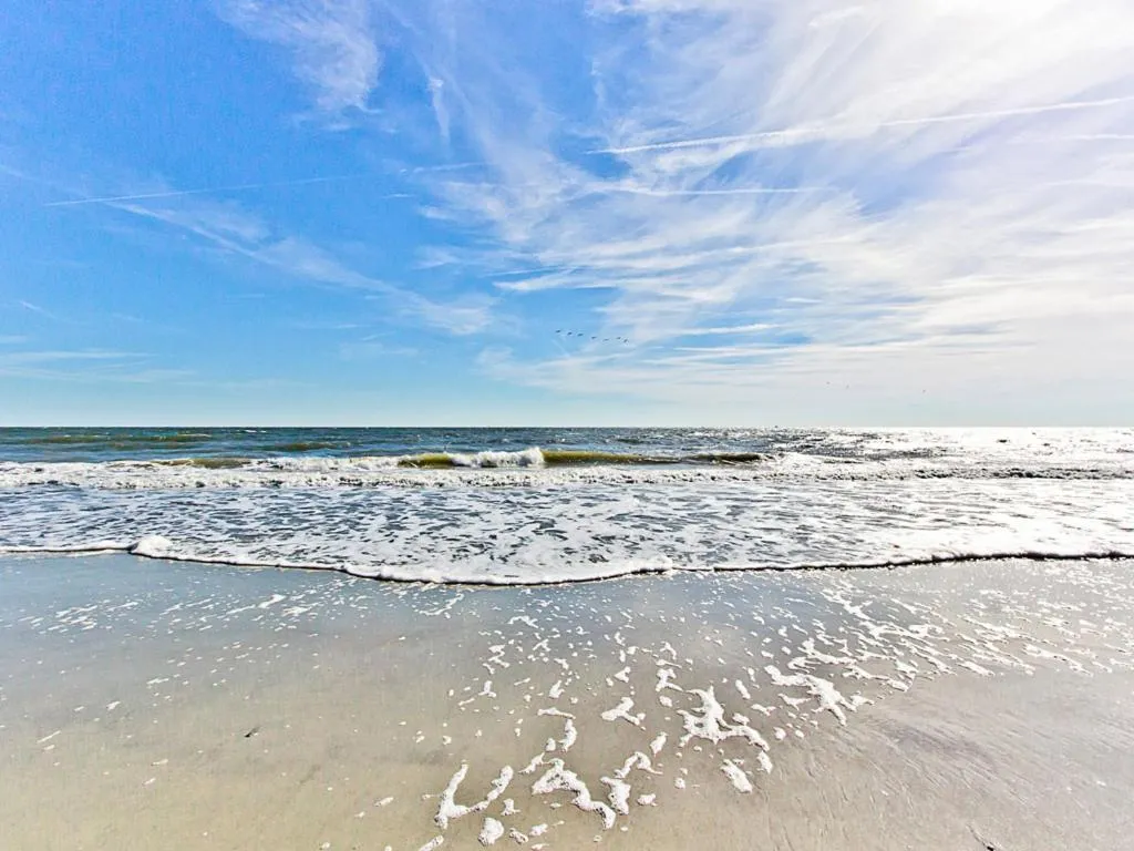 Horsepen Creek Cottage