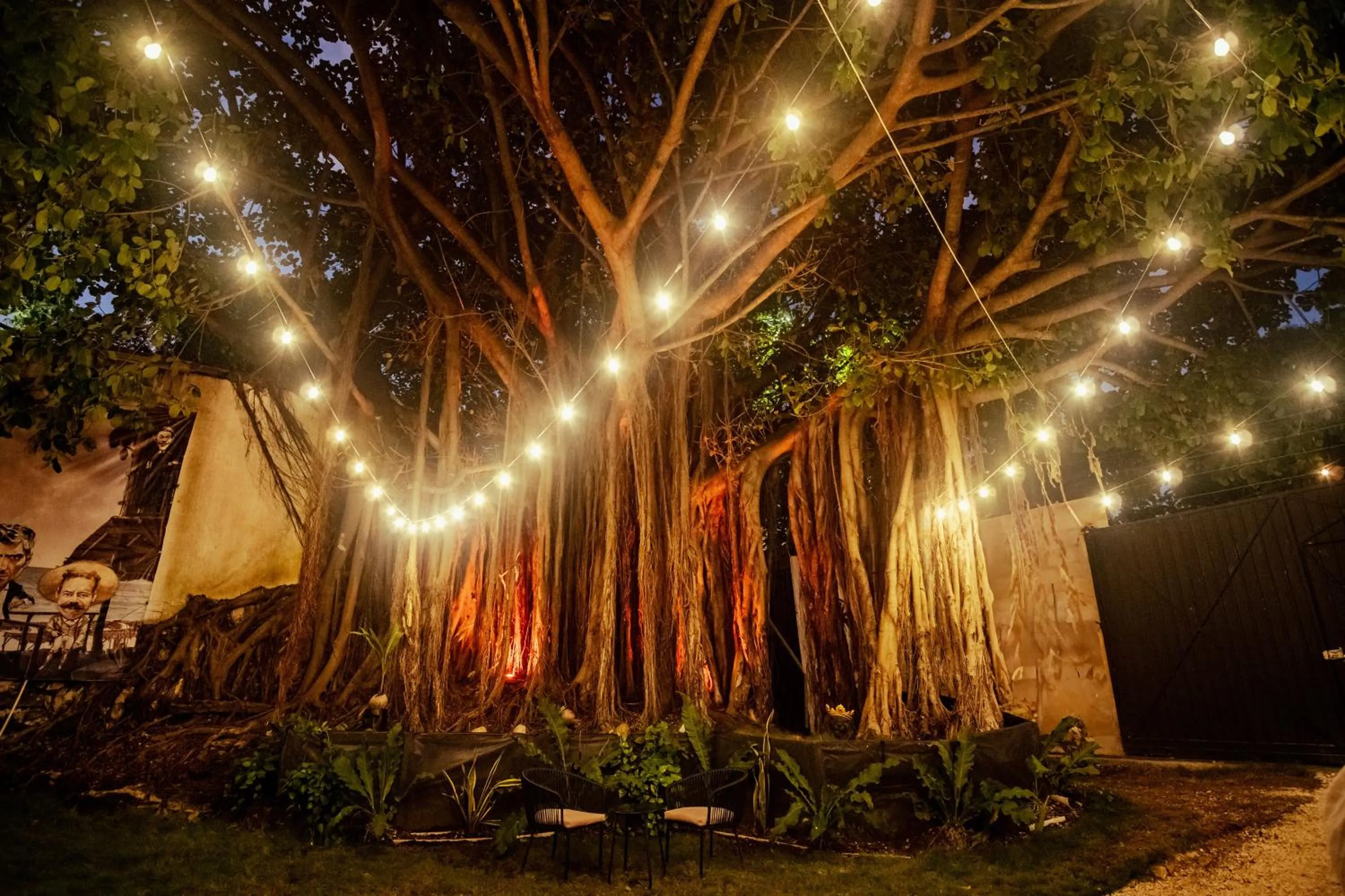 Natural landscape in La Quinta Caribeña