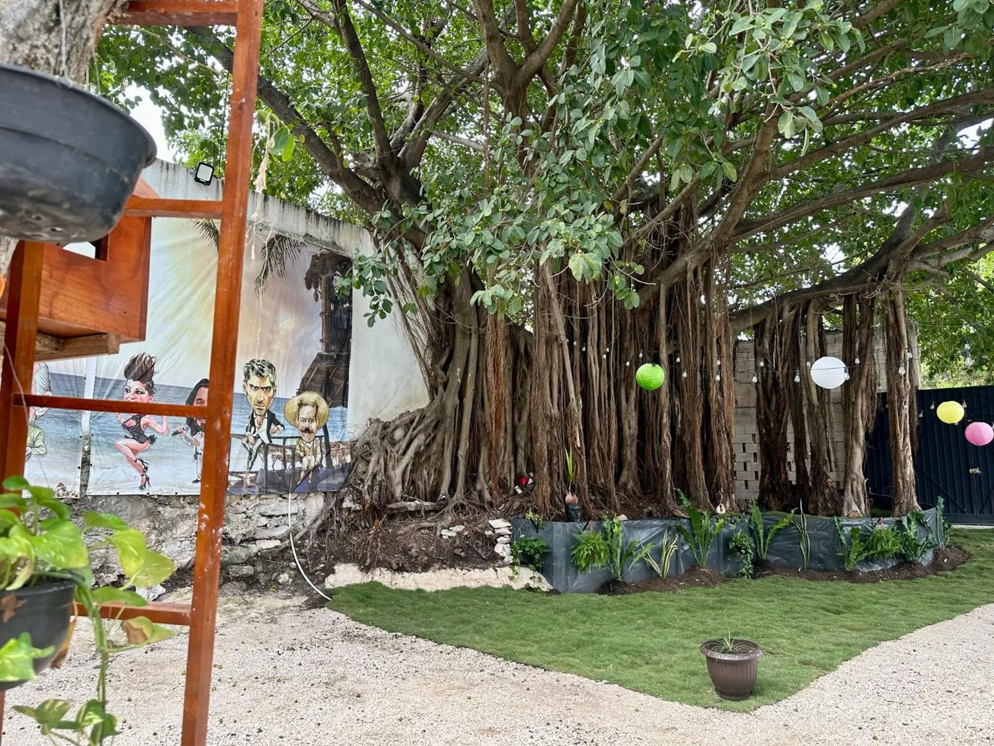 Garden in La Quinta Caribeña