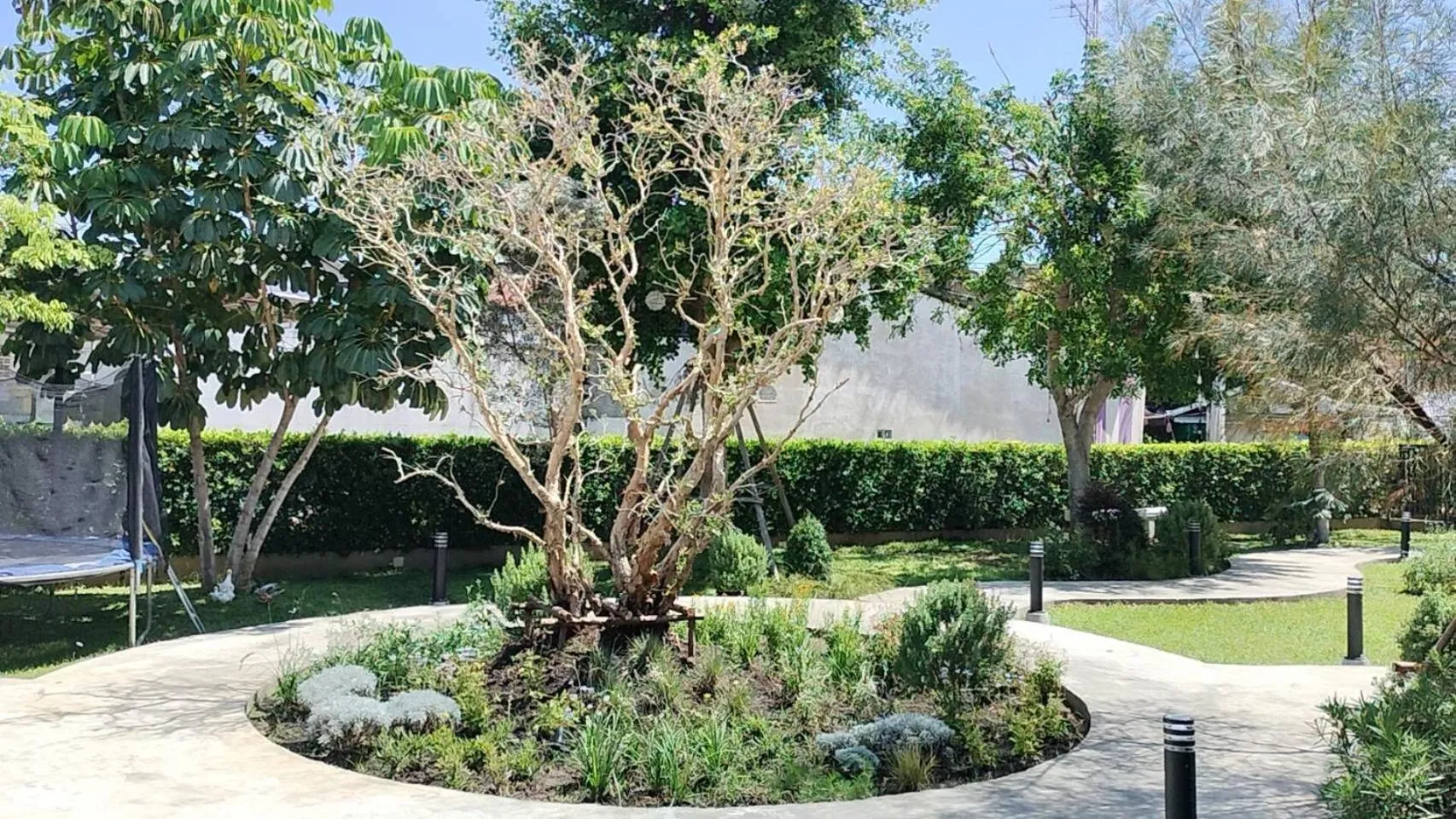 Garden in The Modeva Hotel