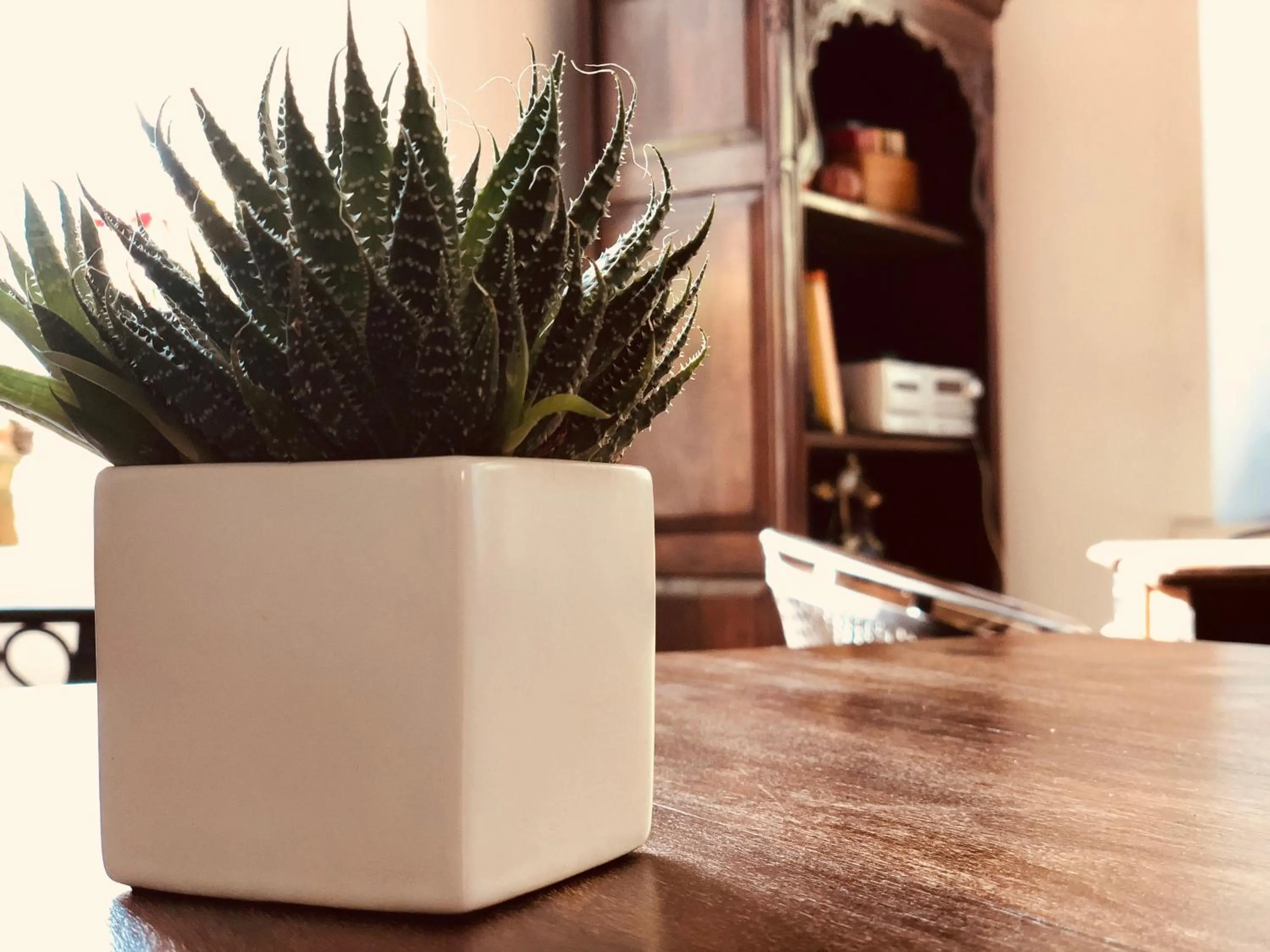 Lobby or reception in Villa Bellaria