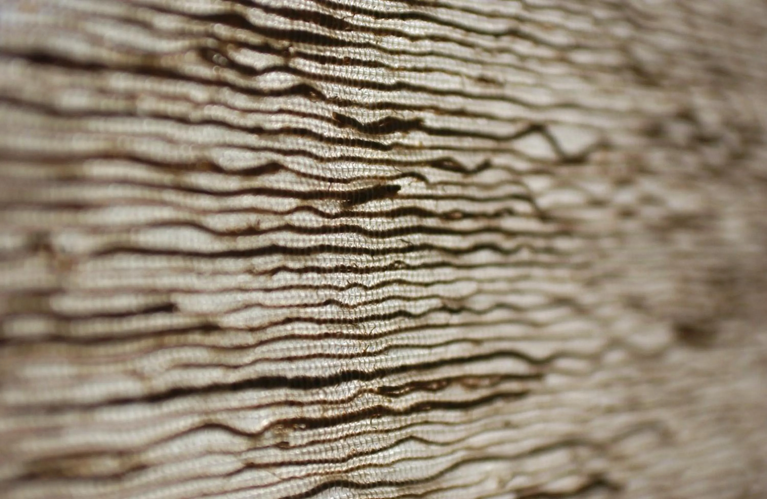 Decorative detail in Villa Bellaria