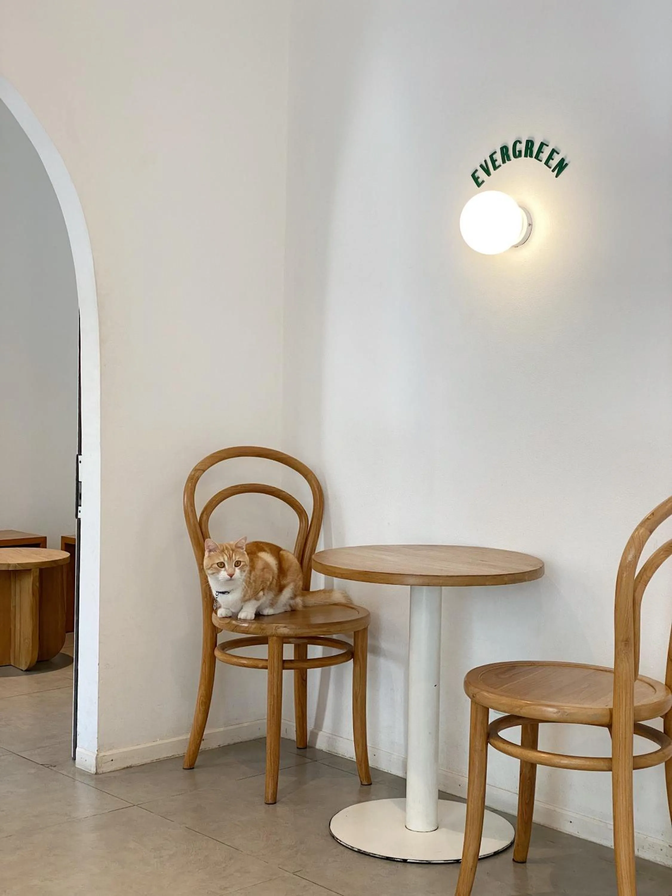 Restaurant/places to eat in Evergreen Cafe and Hotel