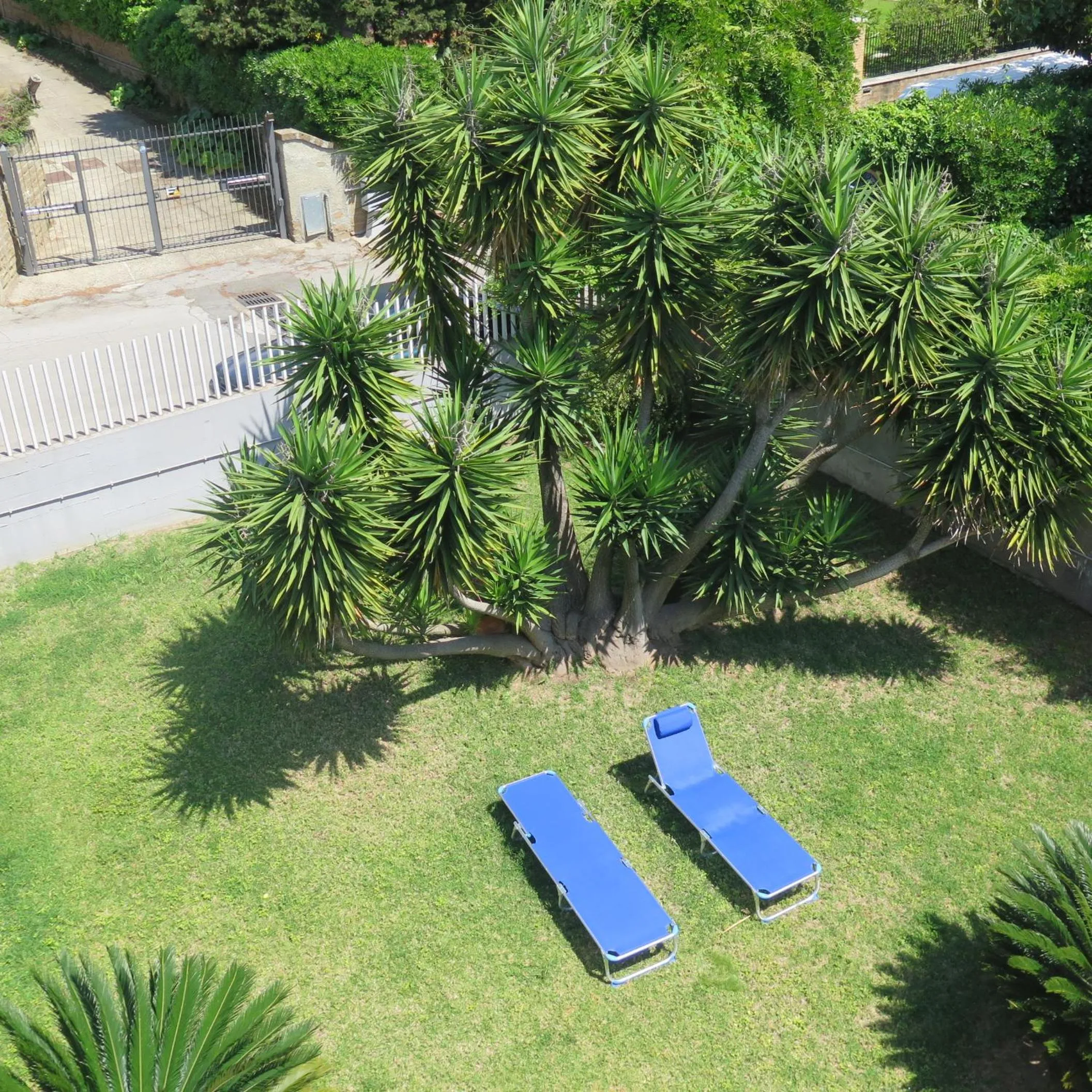 Bird's eye view in Acquamarina