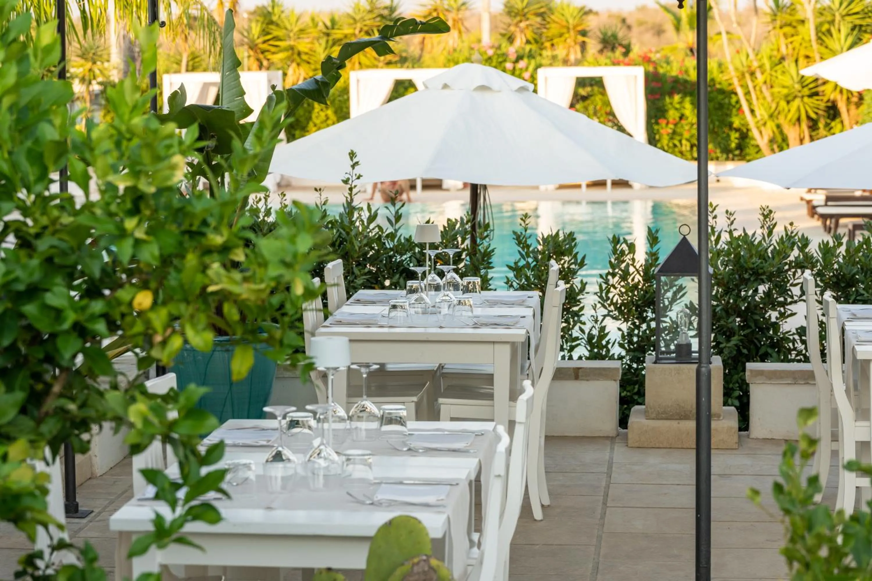 Restaurant/places to eat in Tenuta Centoporte