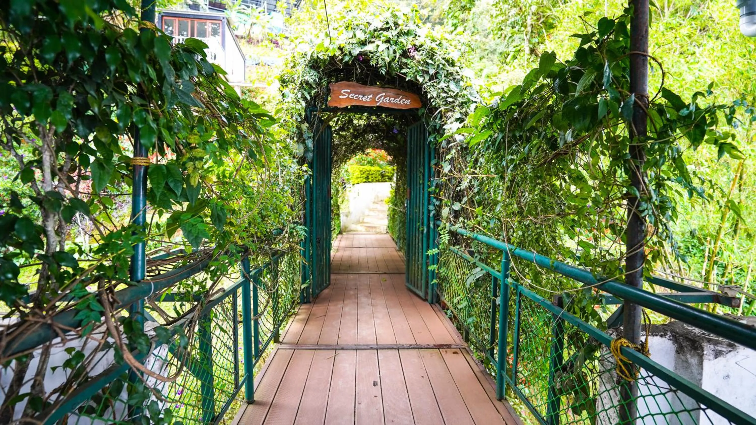 Garden in Misty Mountain Resort