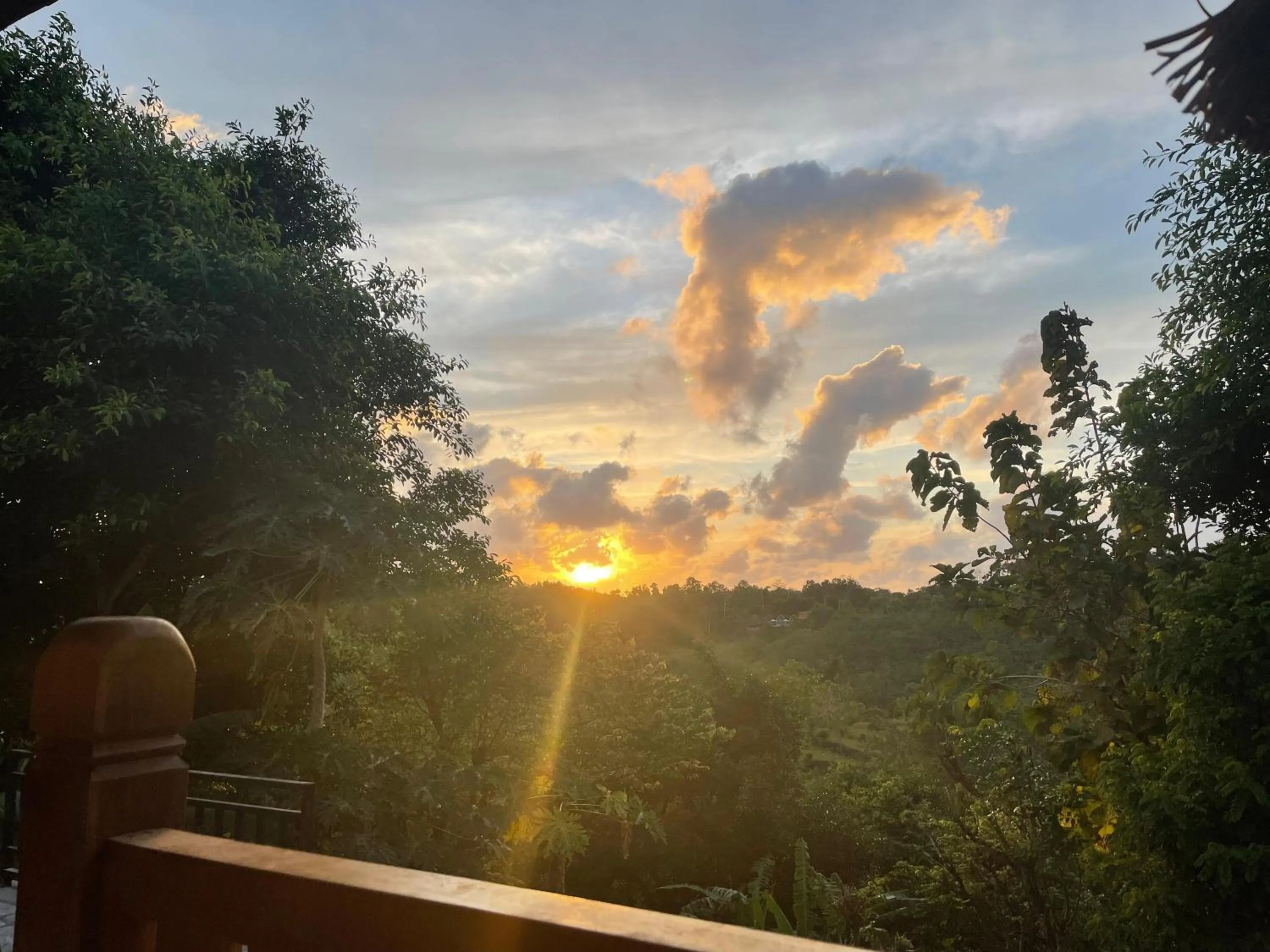 Natural landscape in Innora Jungle Resort And Spa