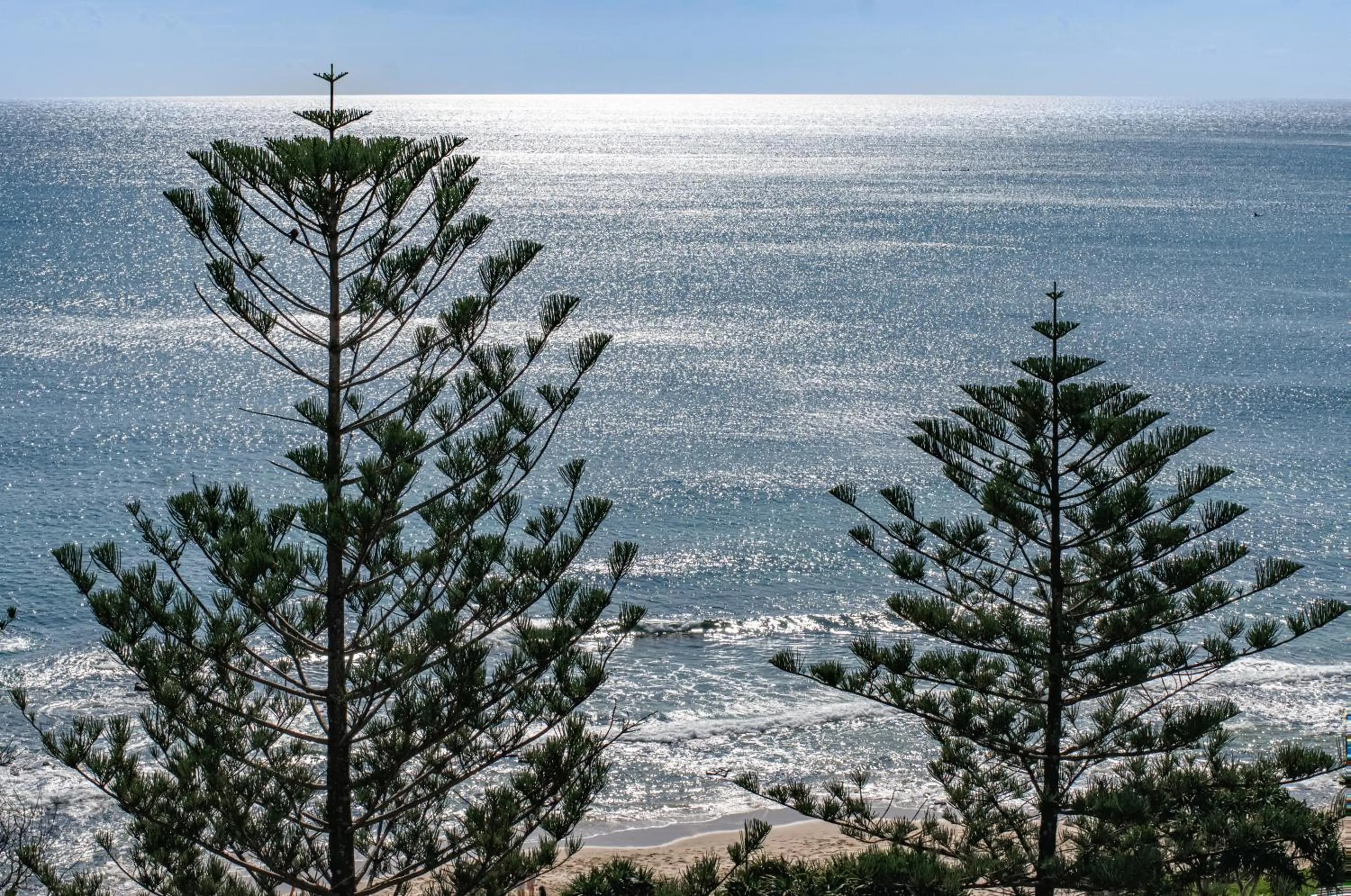 Sea Pearl A1 Beach Resort