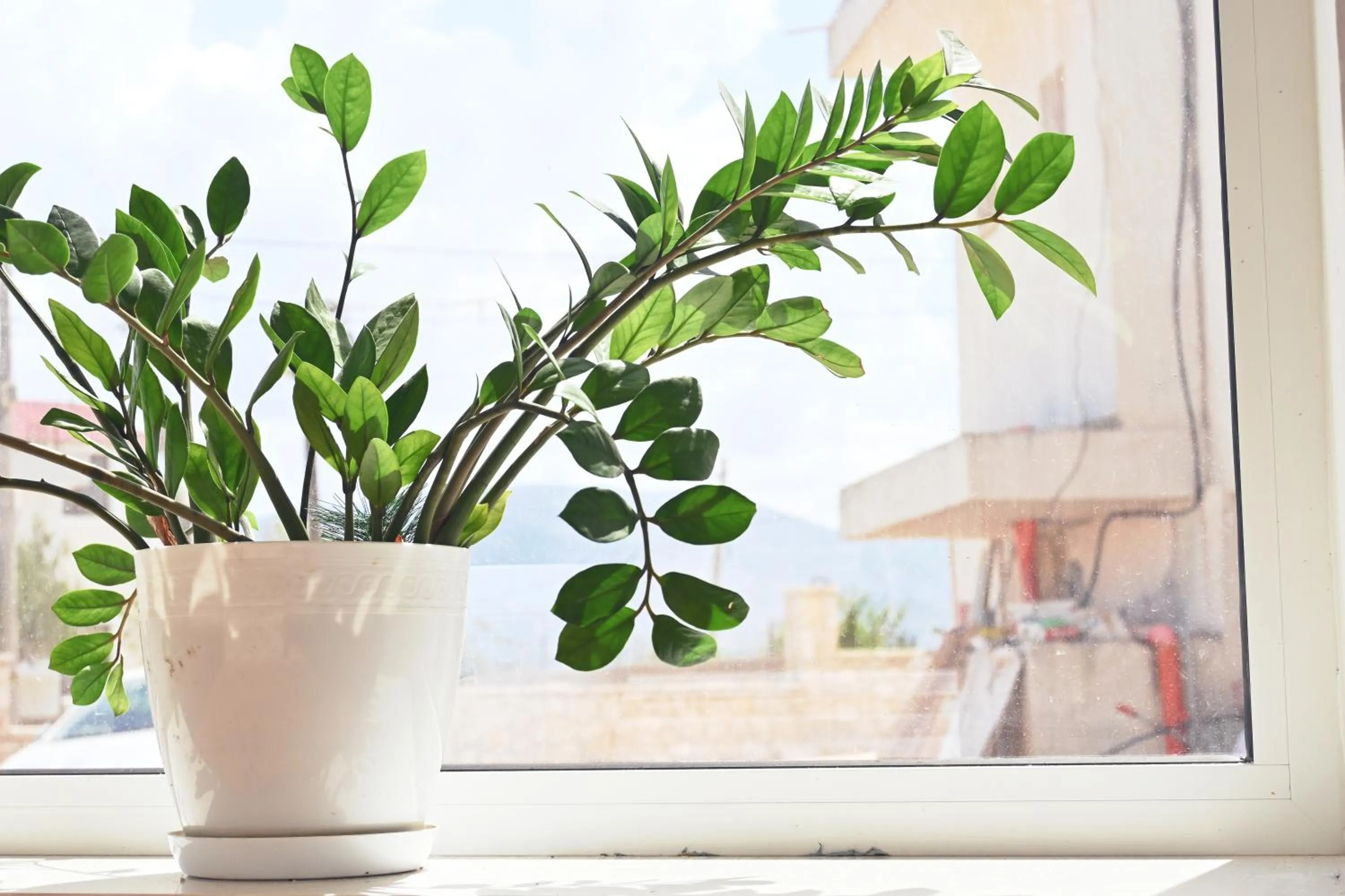 Decorative detail in SEA & LAKE VIEW VILLA