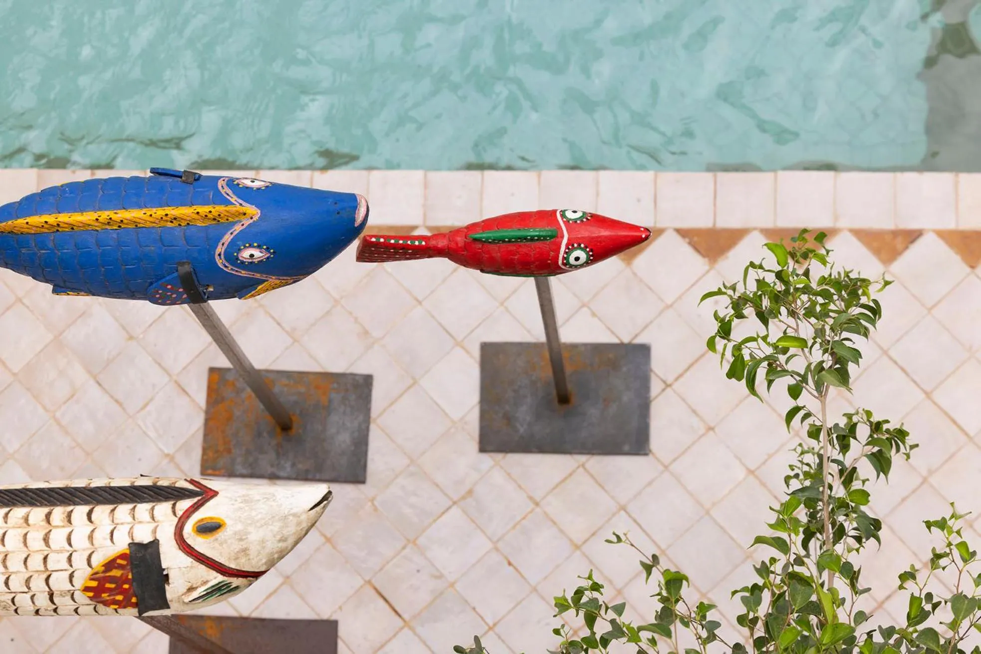 Day in Riad LAZ Mimoun & Spa