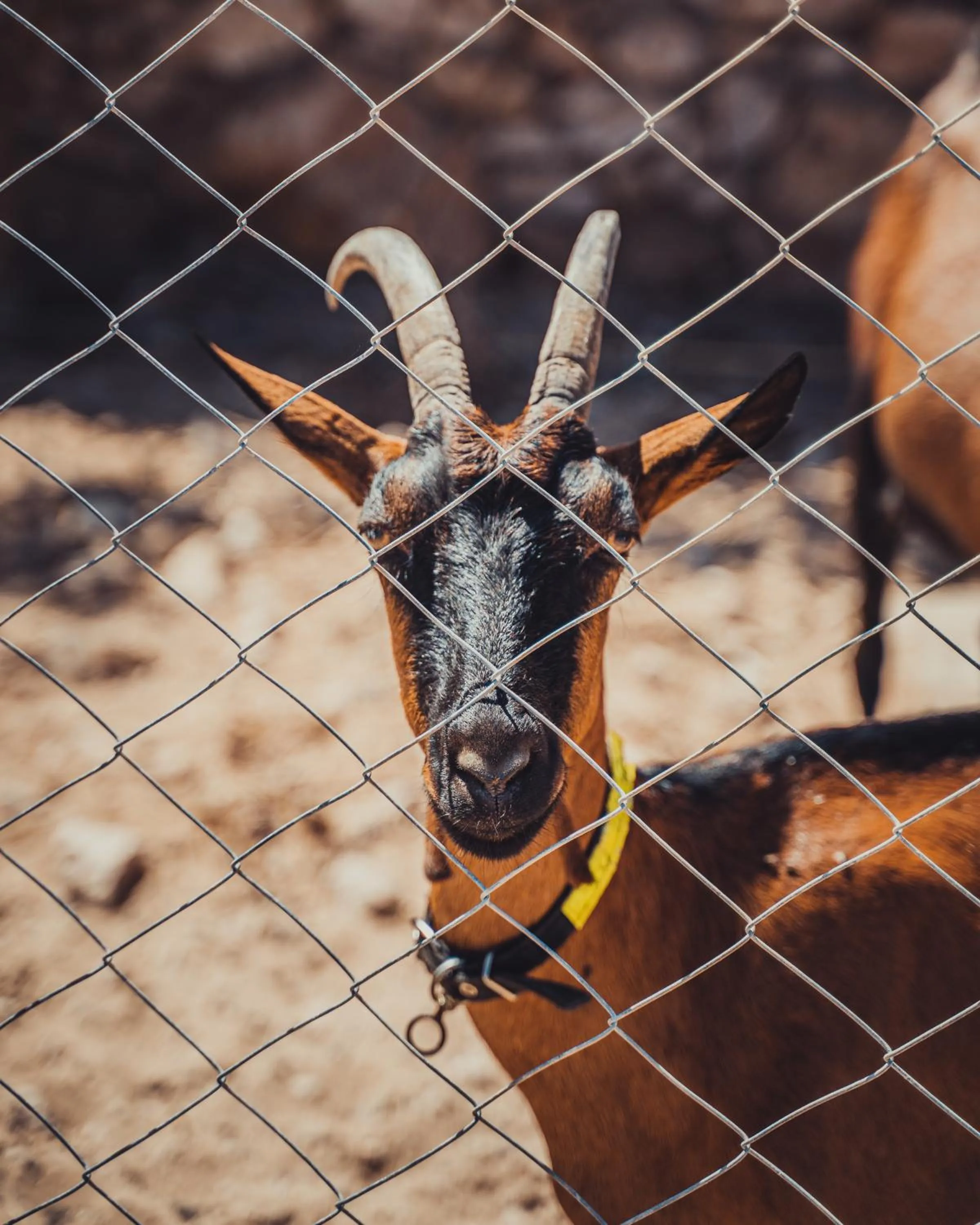 BABERRIH Hôtel Hospitality Palaces & Resorts