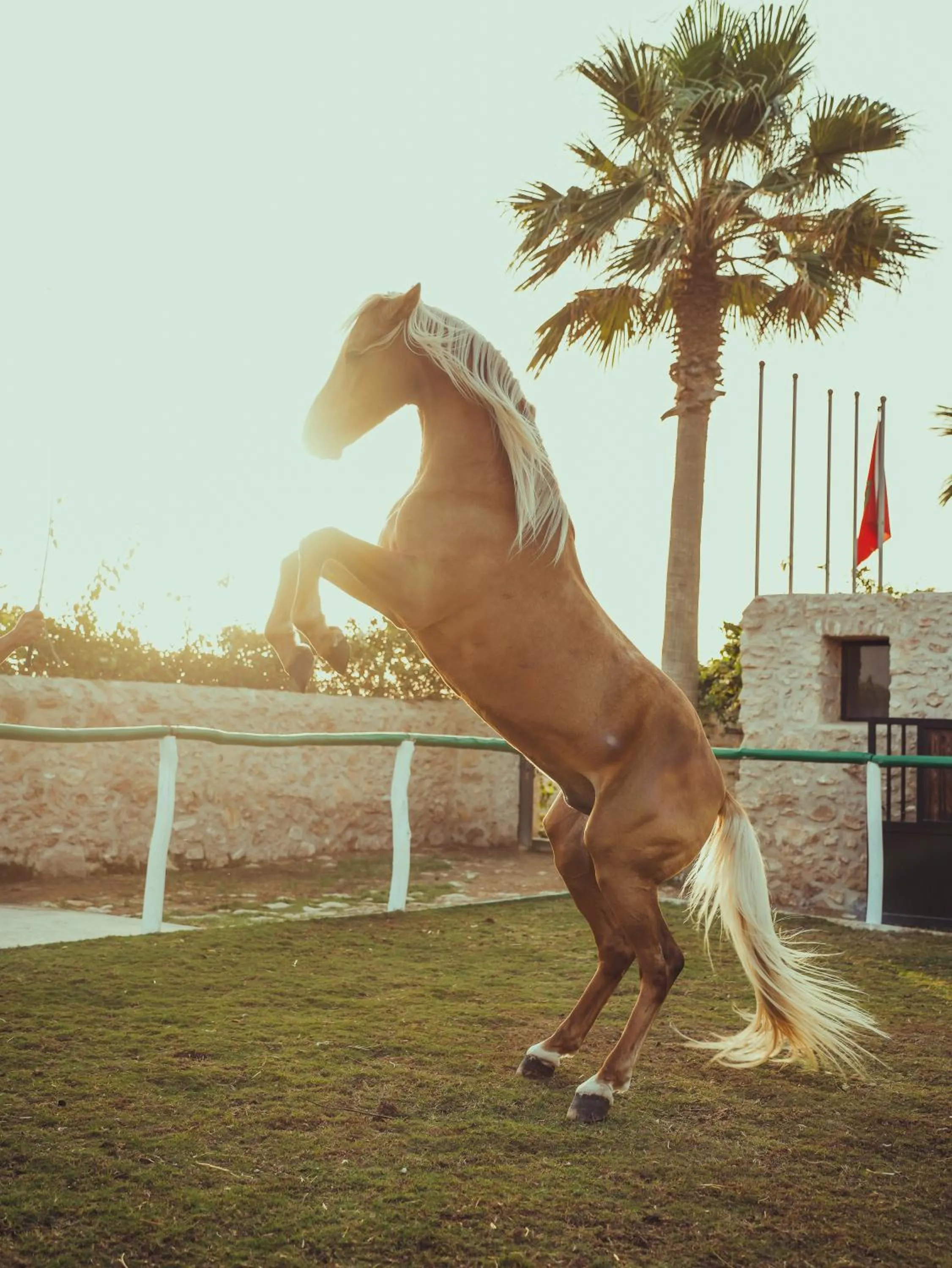 BABERRIH Hôtel Hospitality Palaces & Resorts