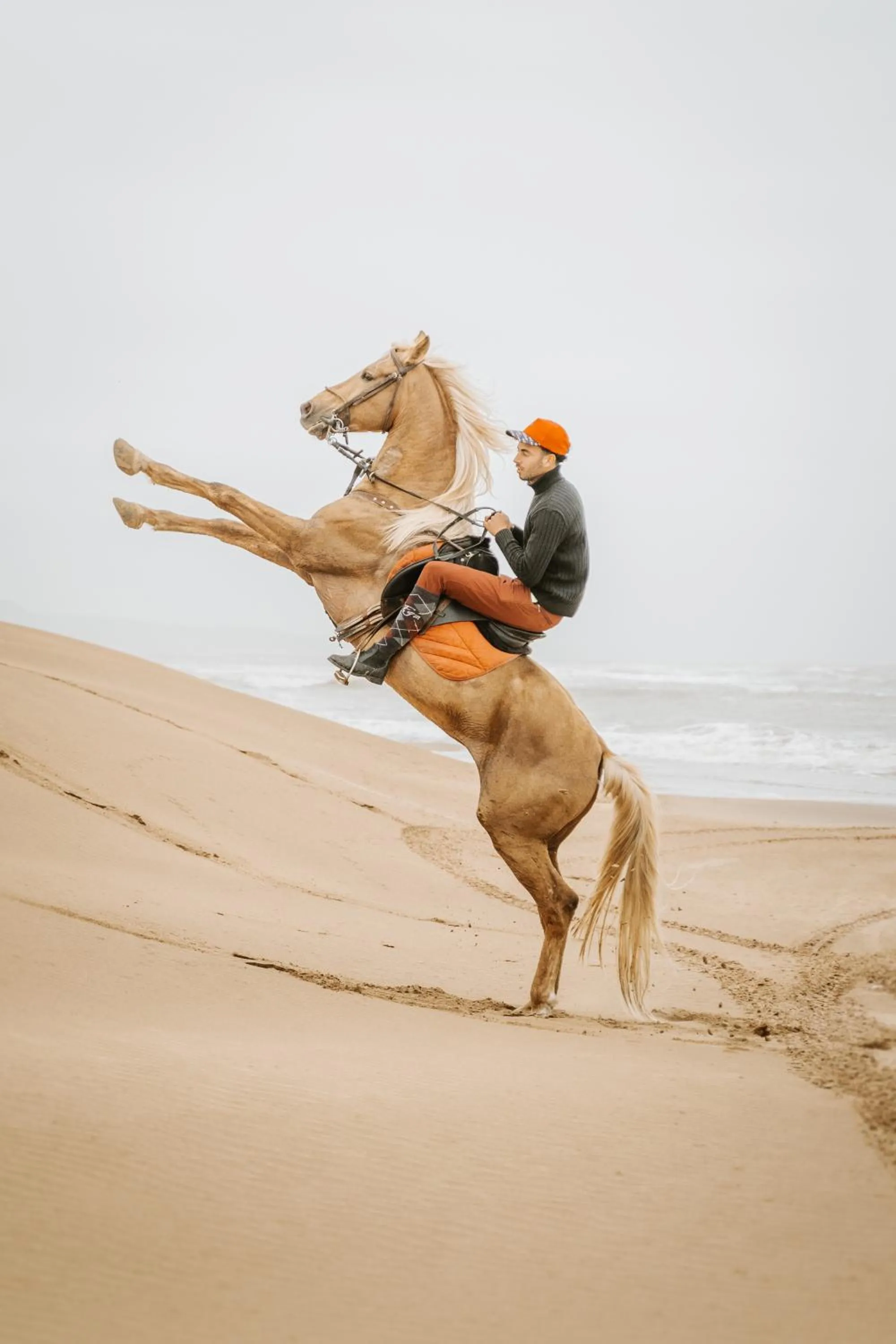 BABERRIH Hôtel Hospitality Palaces & Resorts