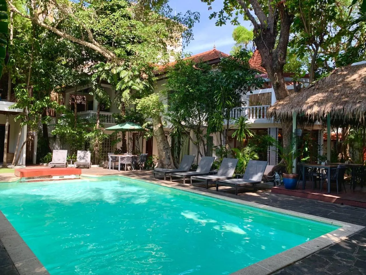 Swimming pool in Jungle Addition