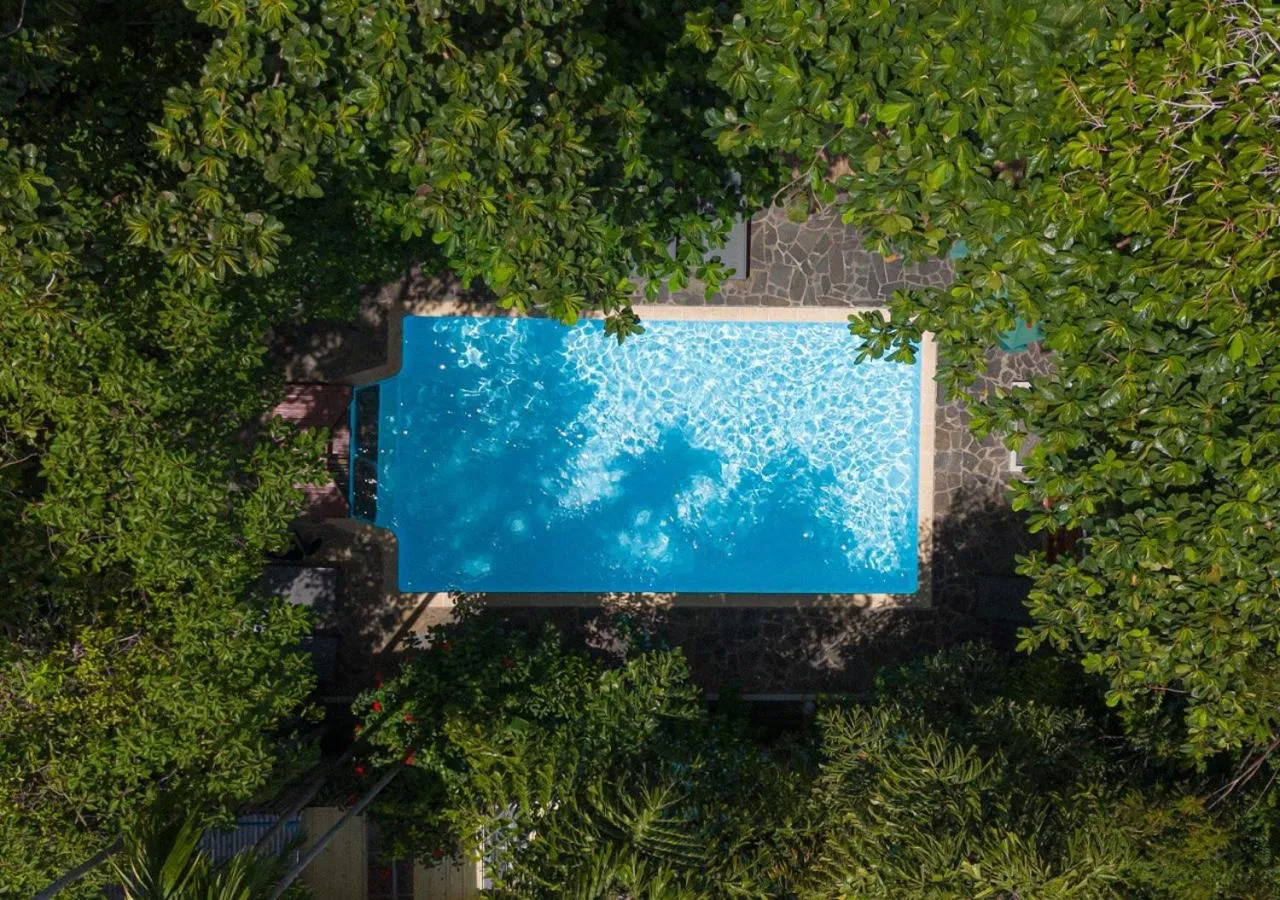 Swimming pool in Jungle Addition