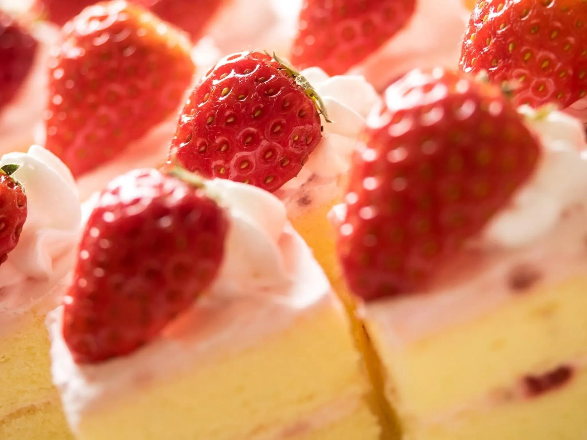 Food close-up in Hotel AreaOne Obihiro